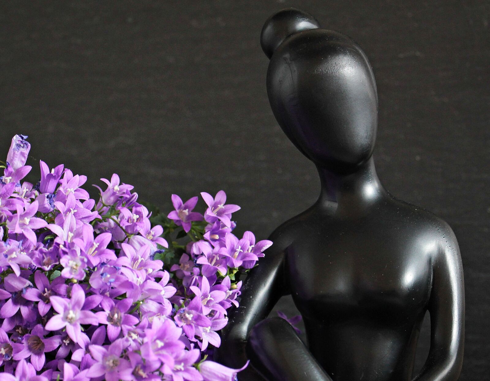 Canon EOS 550D (EOS Rebel T2i / EOS Kiss X4) sample photo. Woman, sculpture, figure photography