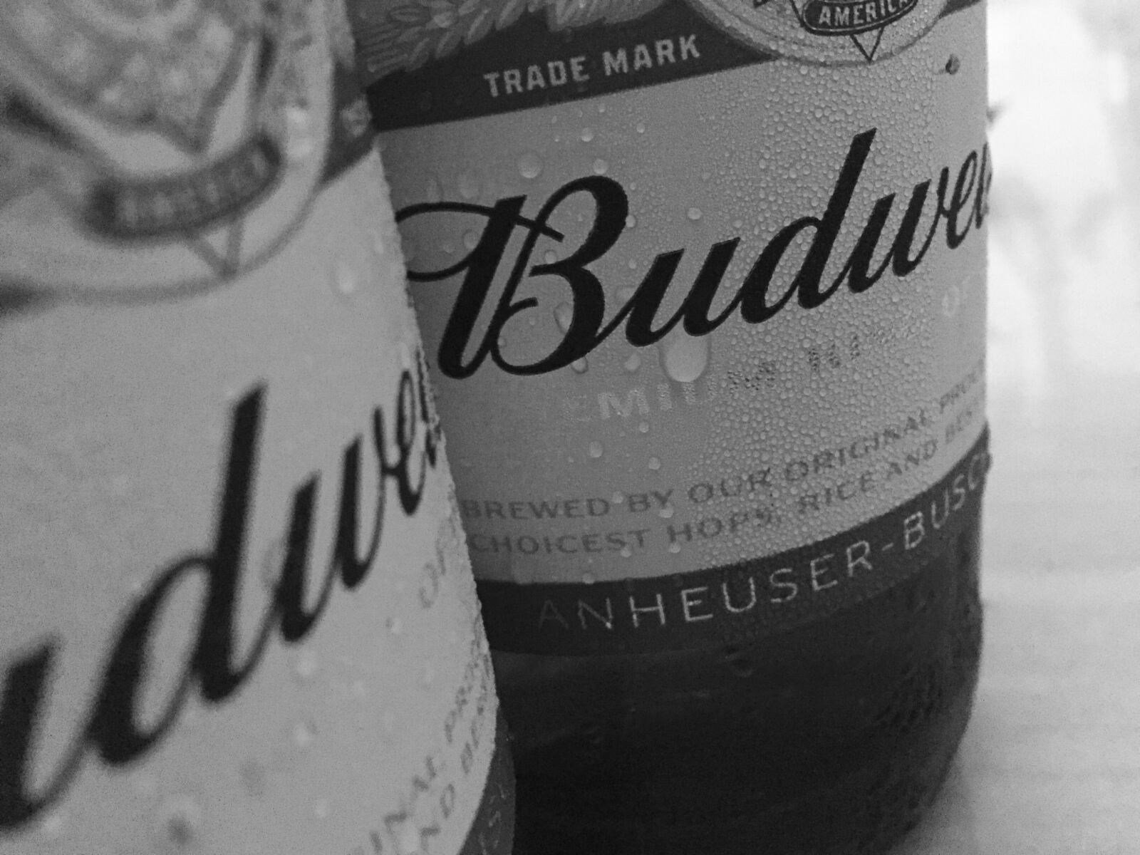 iPhone 6 back camera 4.15mm f/2.2 sample photo. Brand, bottle, wine photography