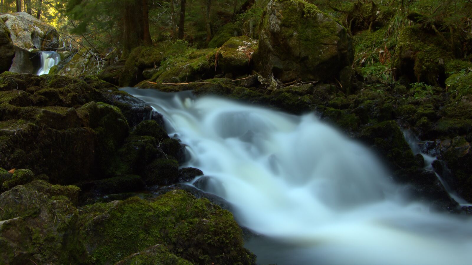 Canon EOS 760D (EOS Rebel T6s / EOS 8000D) sample photo. River, forest, spring photography