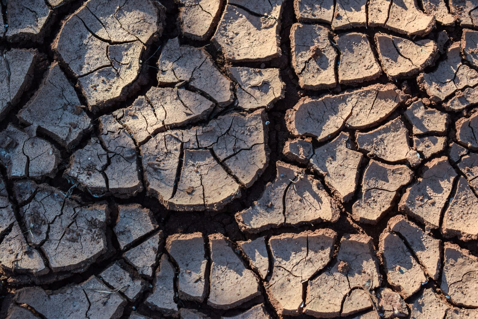 Nikon D3300 sample photo. Drought, aridity, aridness photography