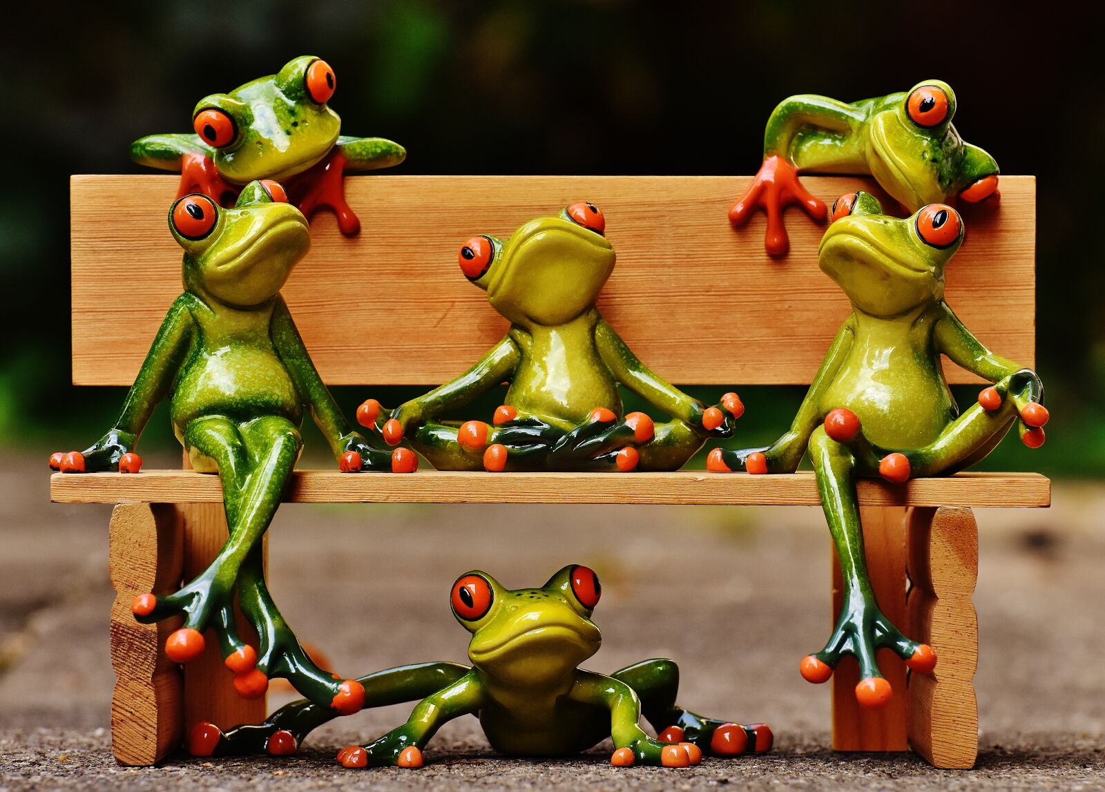 Nikon D7200 sample photo. Frogs, sociable, bank photography