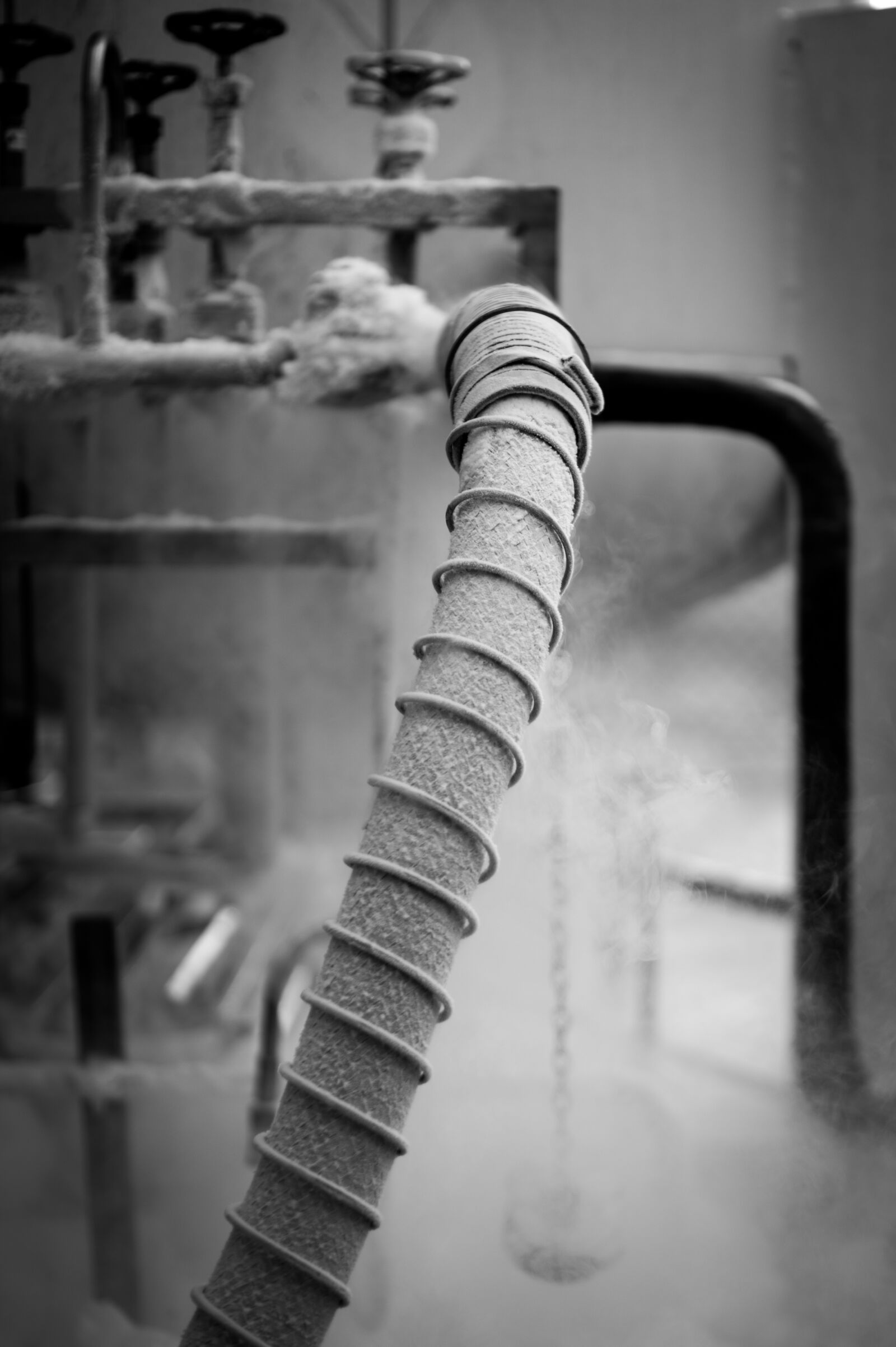 Sony DT 35mm F1.8 SAM sample photo. Black, and, white, hose photography