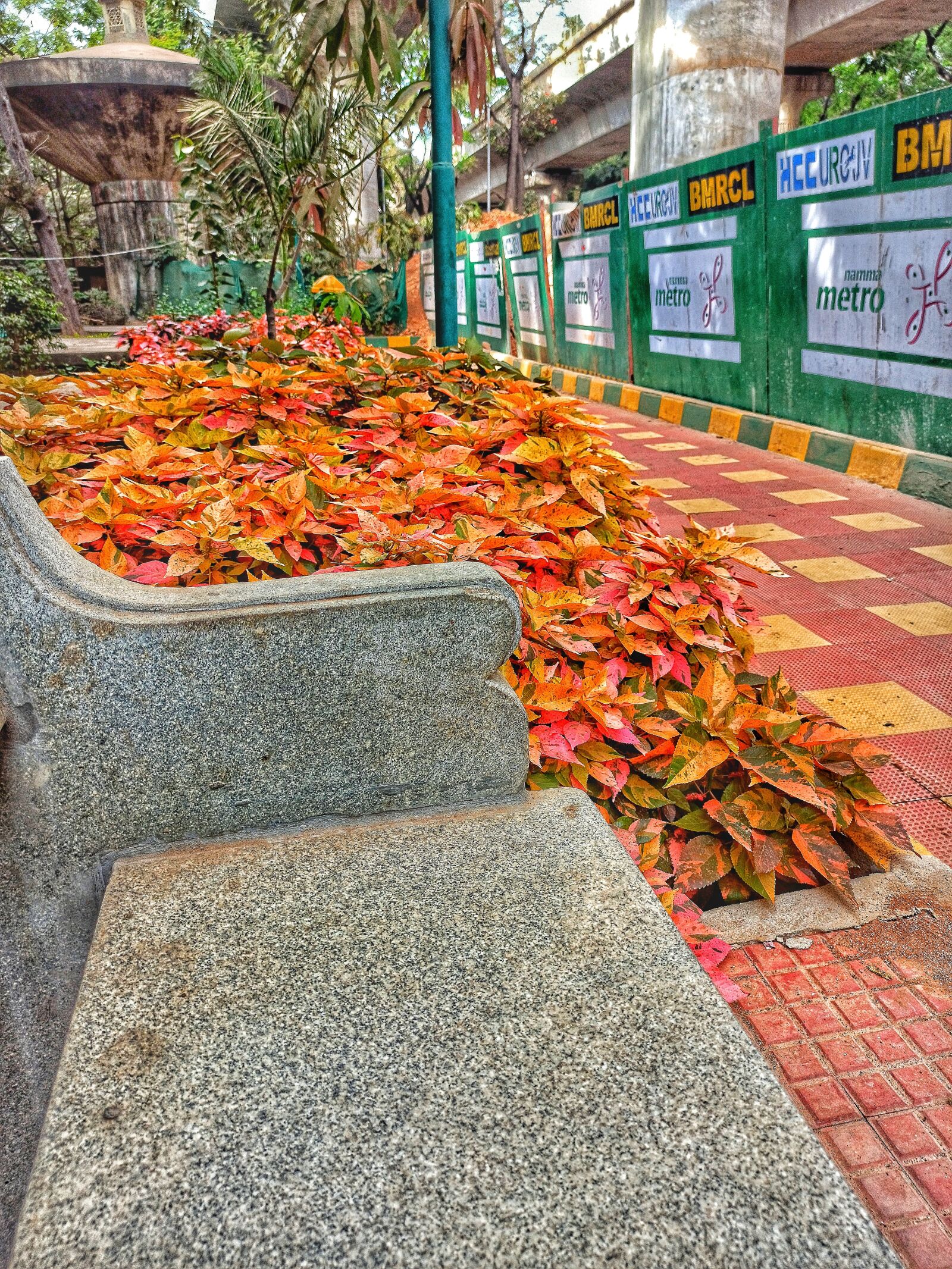 Xiaomi Redmi Note 8 Pro sample photo. Leaves, edge, bench photography