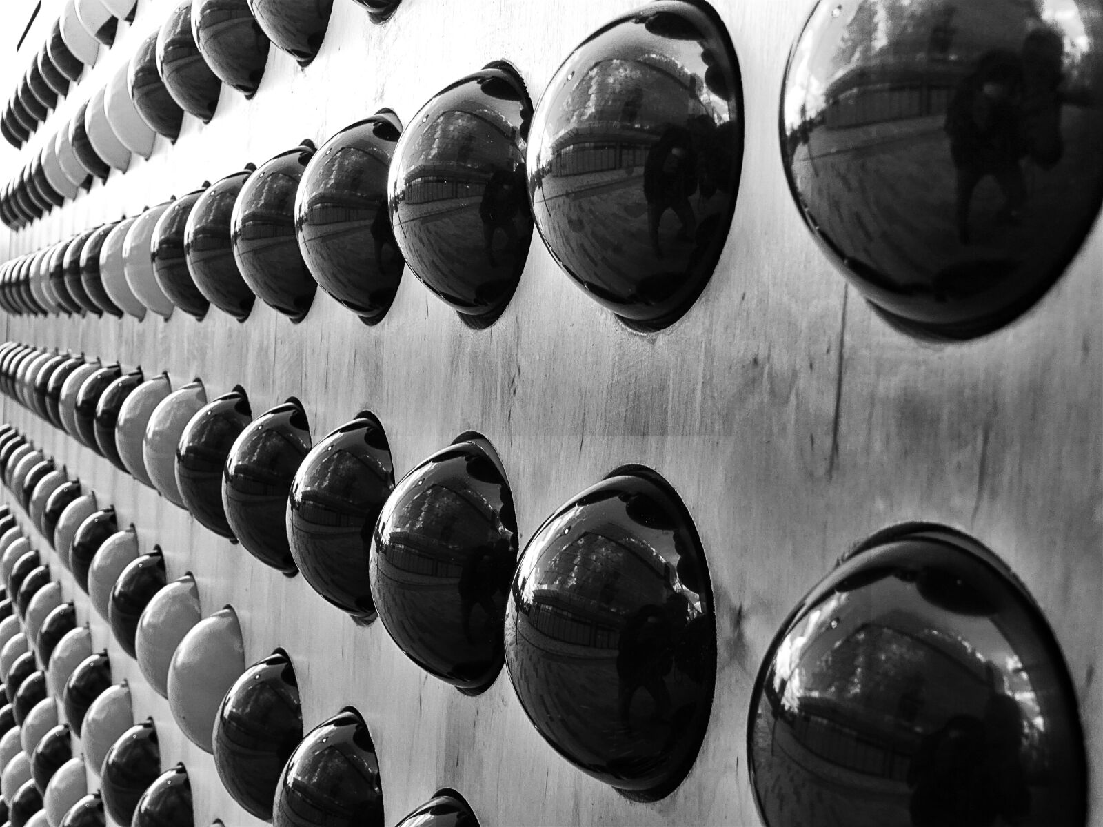 Sony DSC-HX60 sample photo. Black, and, white, close photography