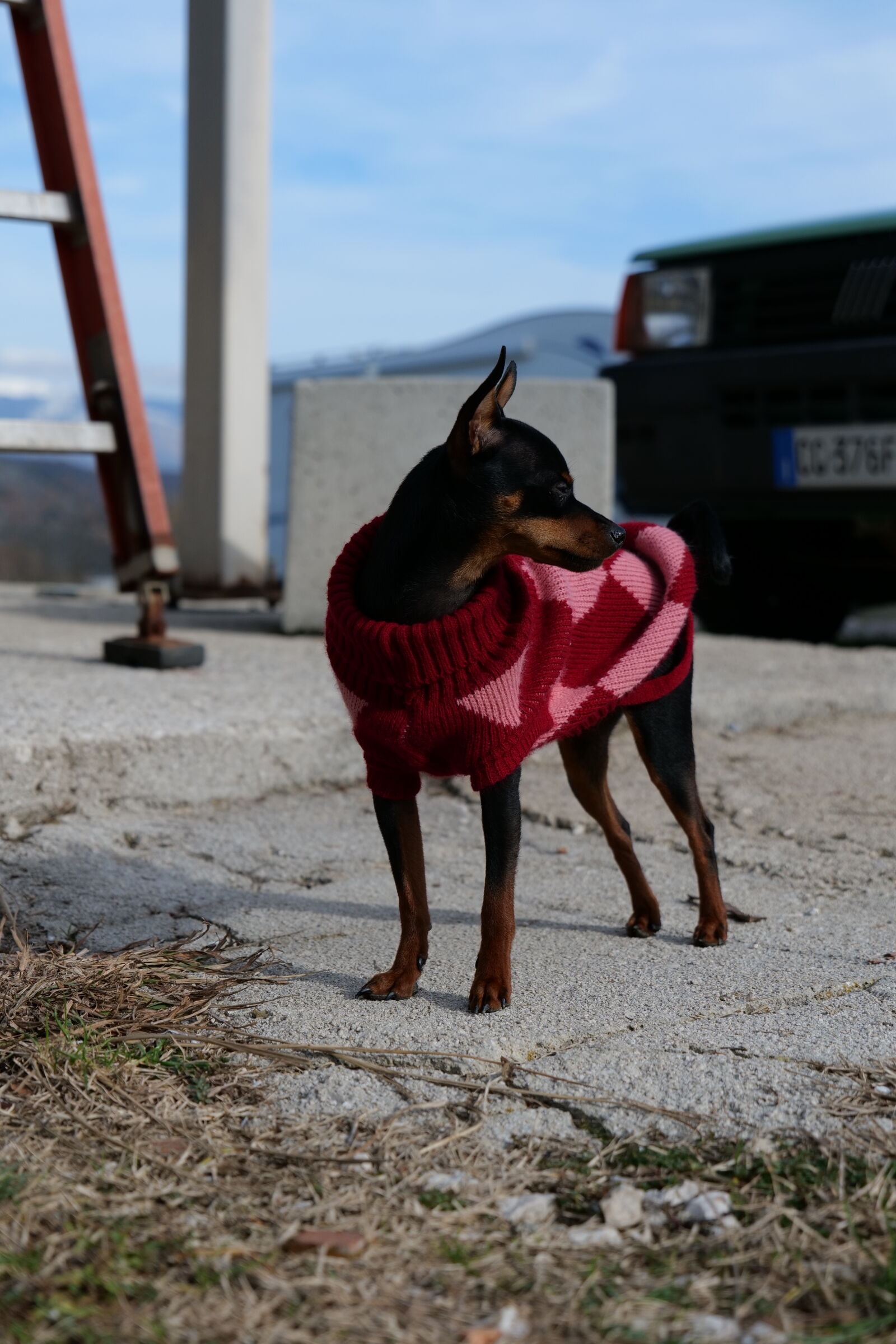 Panasonic DC-S5D sample photo