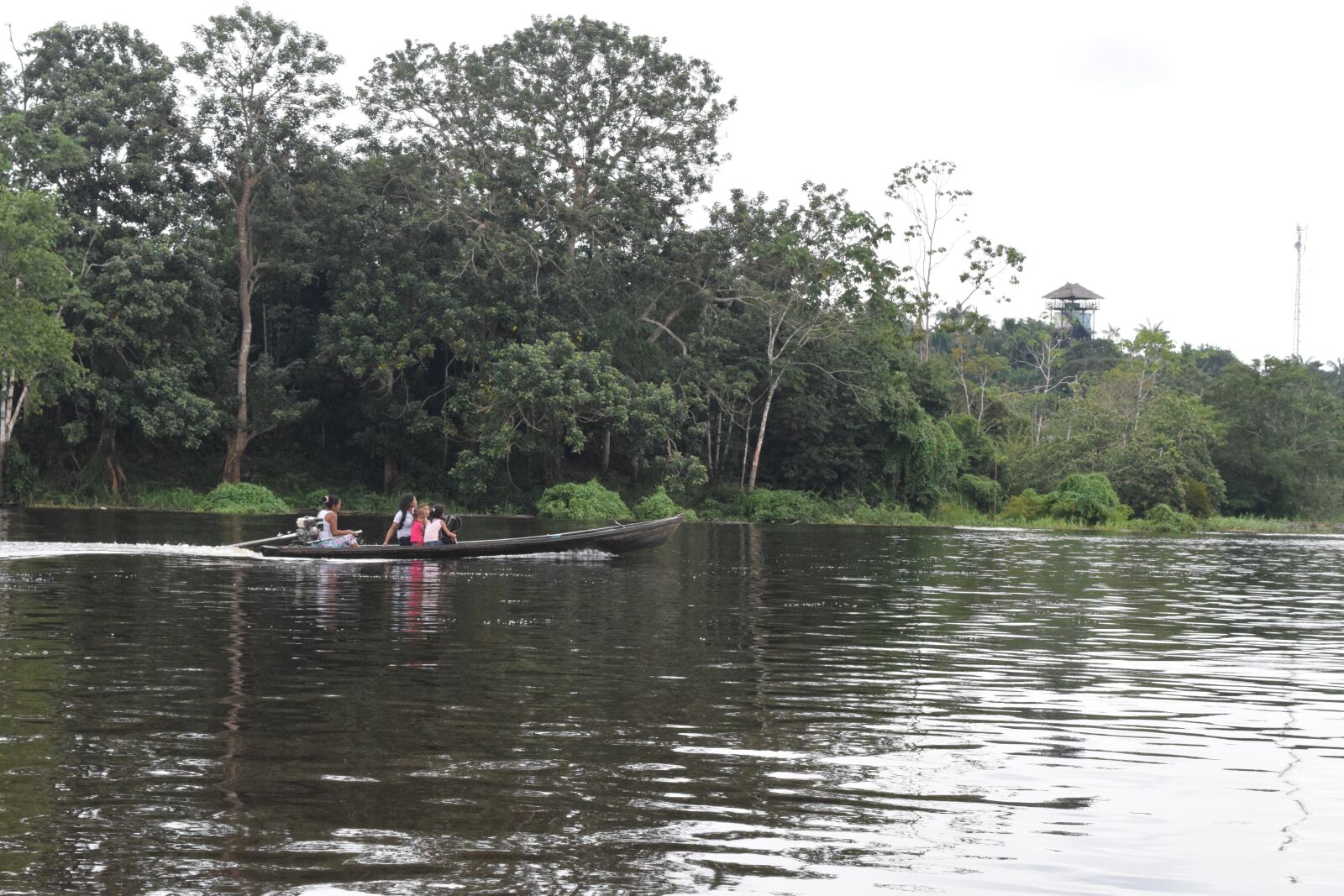 Nikon D3300 sample photo. River, amazon, amazonia photography