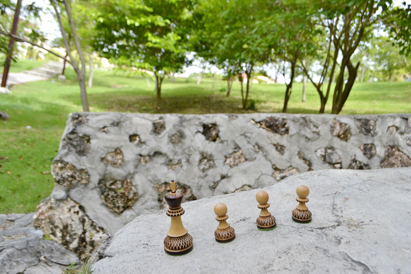 Nikon D3100 sample photo. Chess, king, game photography