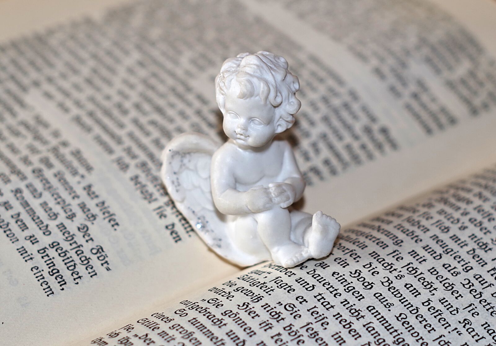Pentax K-S2 sample photo. Angel, love, reading photography