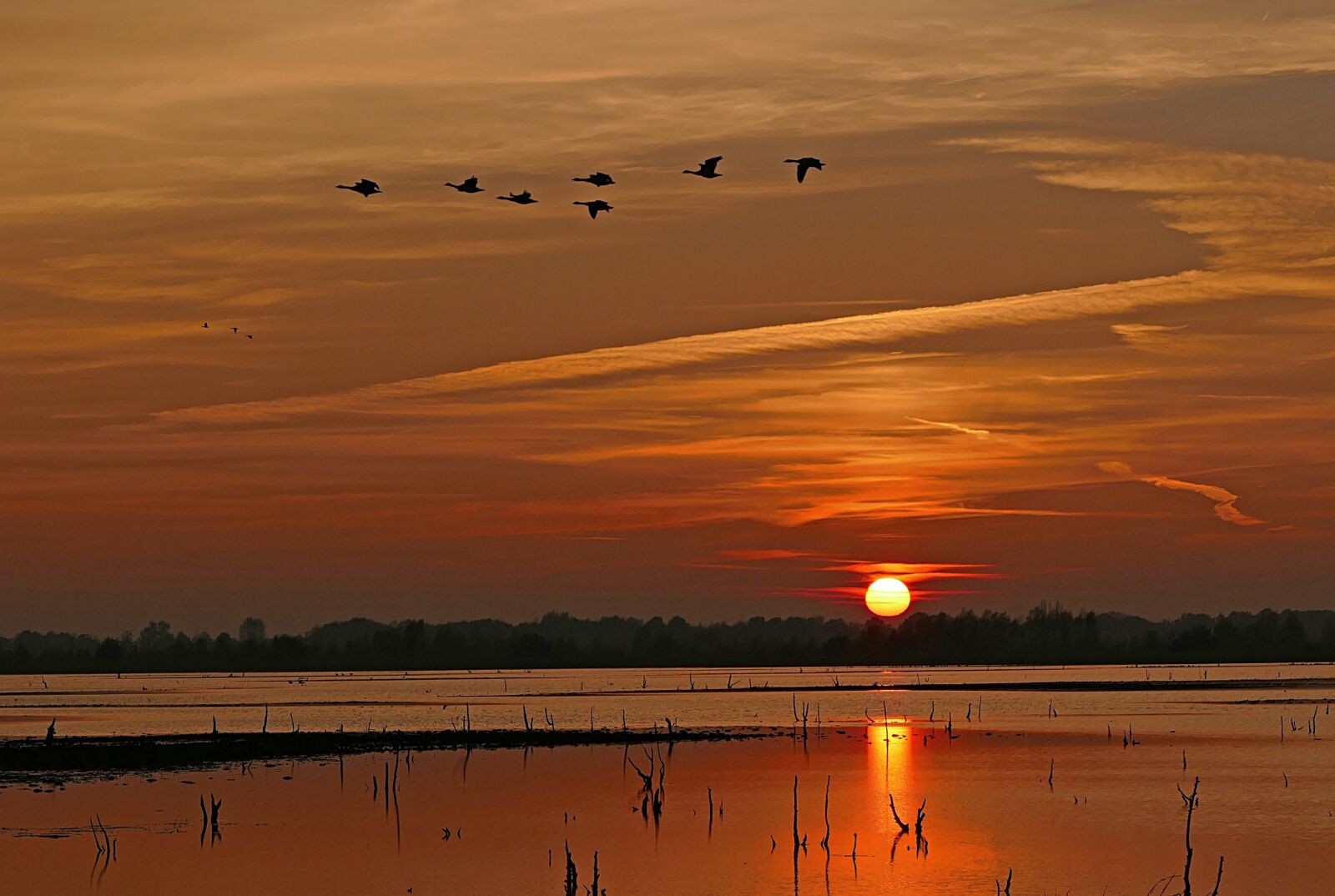 Panasonic Lumix DMC-FZ1000 sample photo. Sunset, geese, flying photography