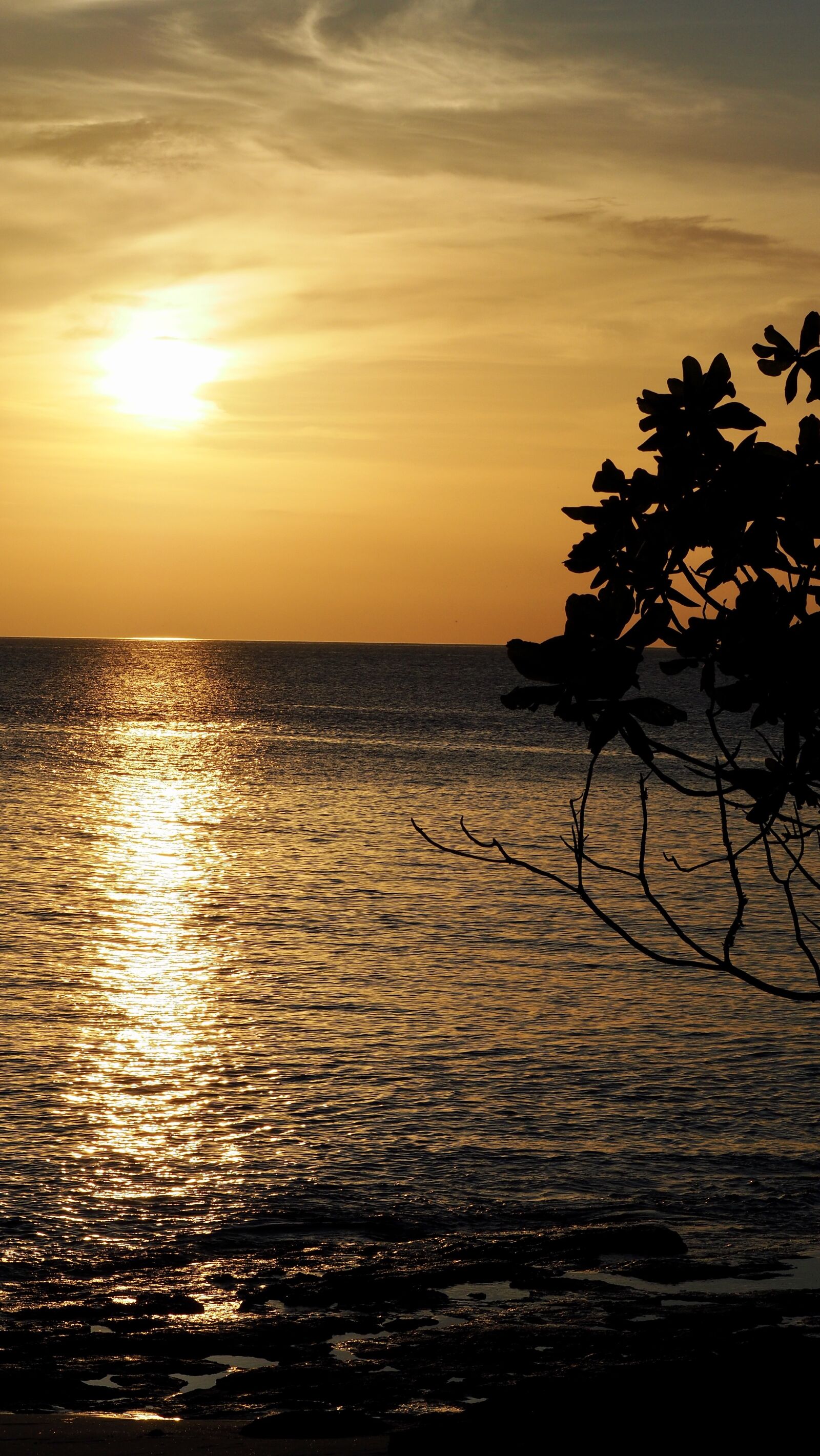 Olympus PEN-F sample photo. Sunset, sea, beach photography