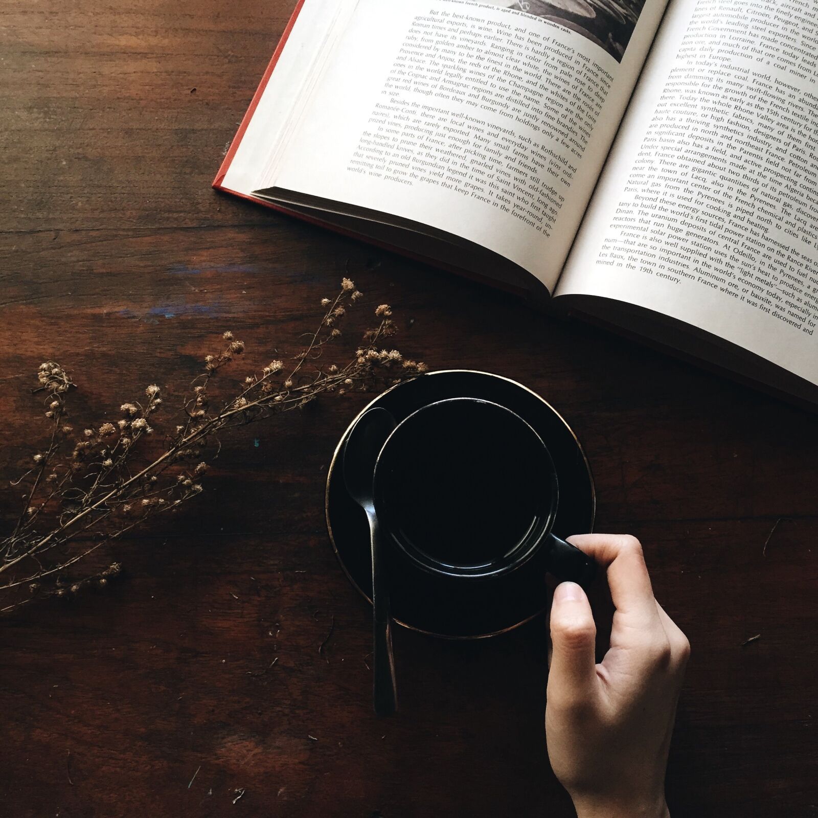 Apple iPhone 6 sample photo. Book, caffeine, coffee photography