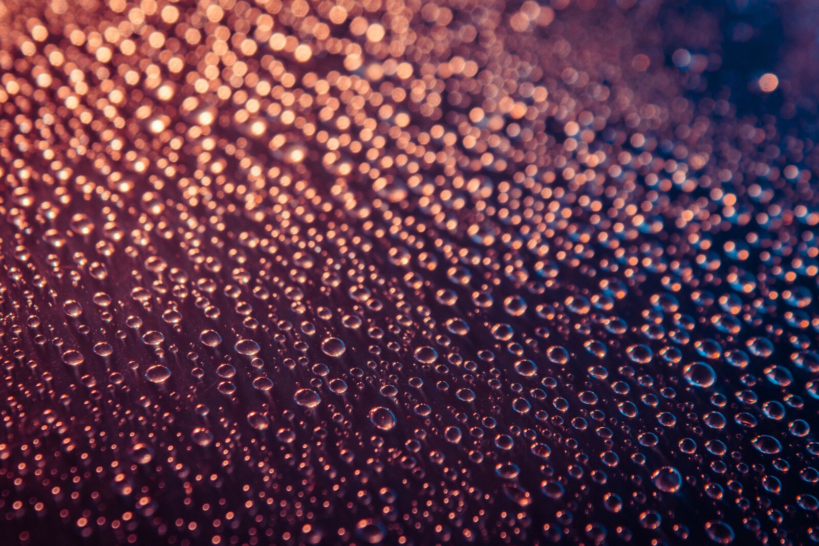 Canon EOS 70D sample photo. Splash, water, droplets photography