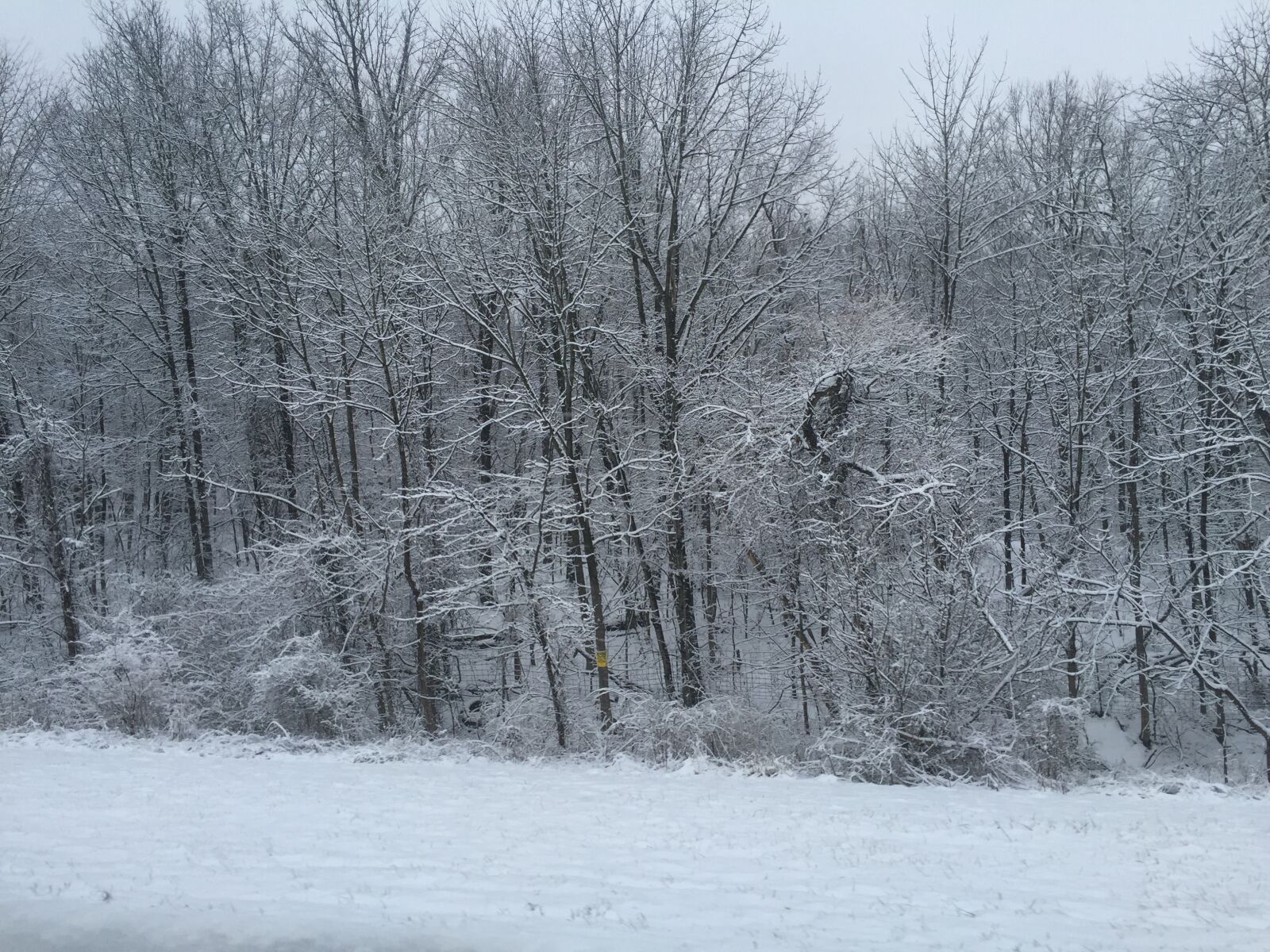 iPhone 6 Plus back camera 4.15mm f/2.2 sample photo. Tennessee, snow photography