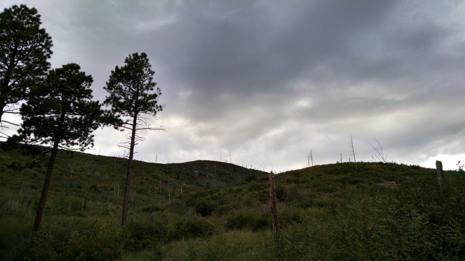 Motorola XT1080 sample photo