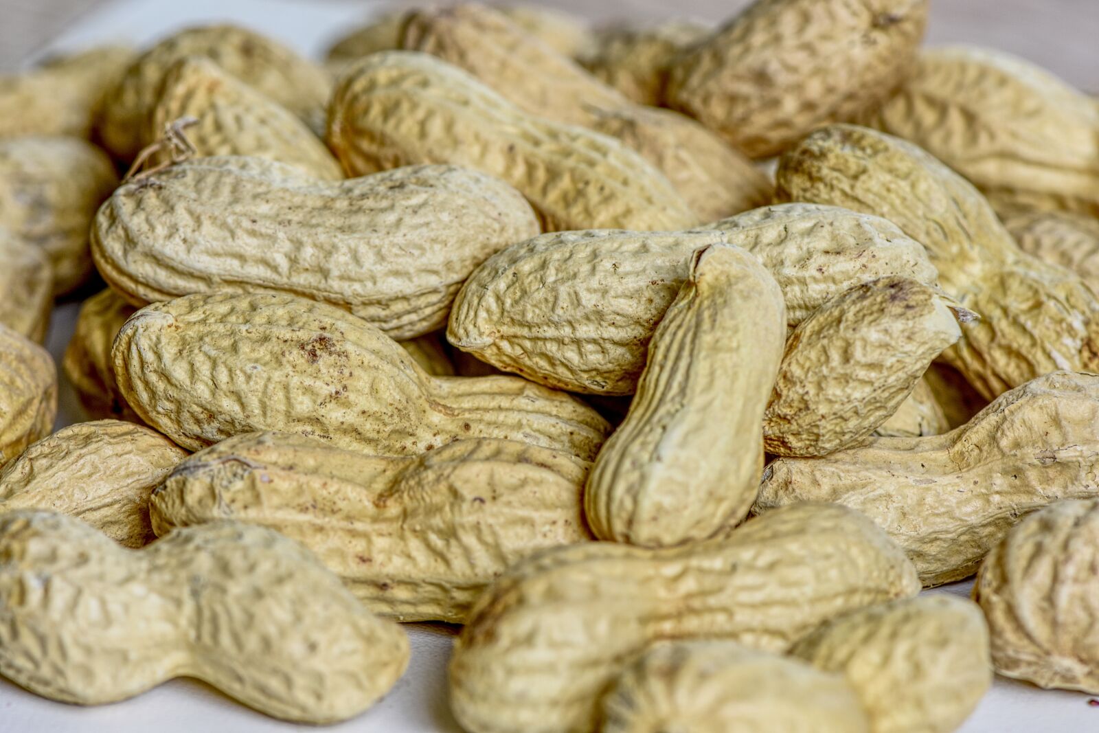 Nikon D7200 sample photo. Peanuts, shell, eat photography