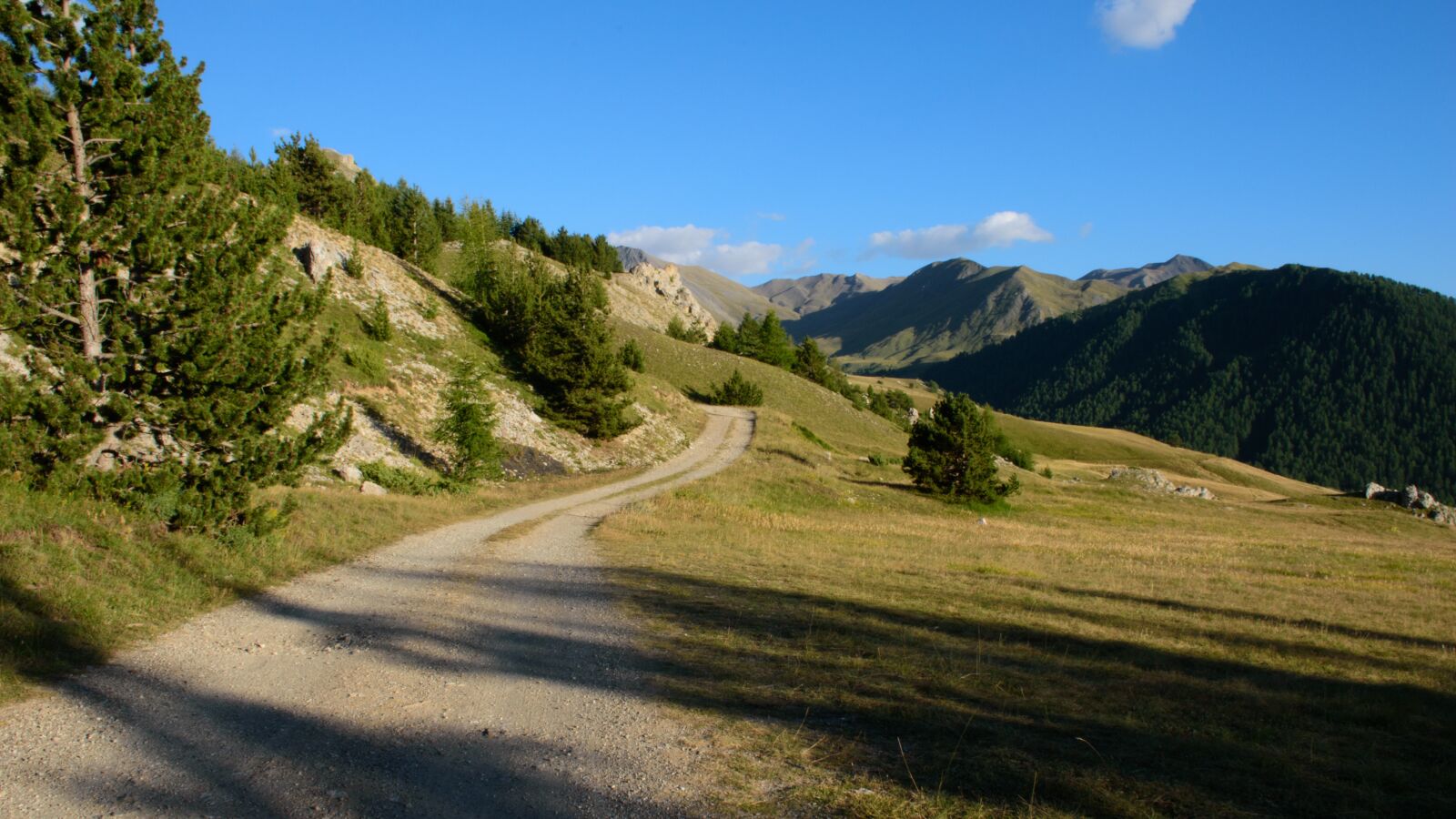 Nikon D5500 sample photo. Landscape, road, nature photography
