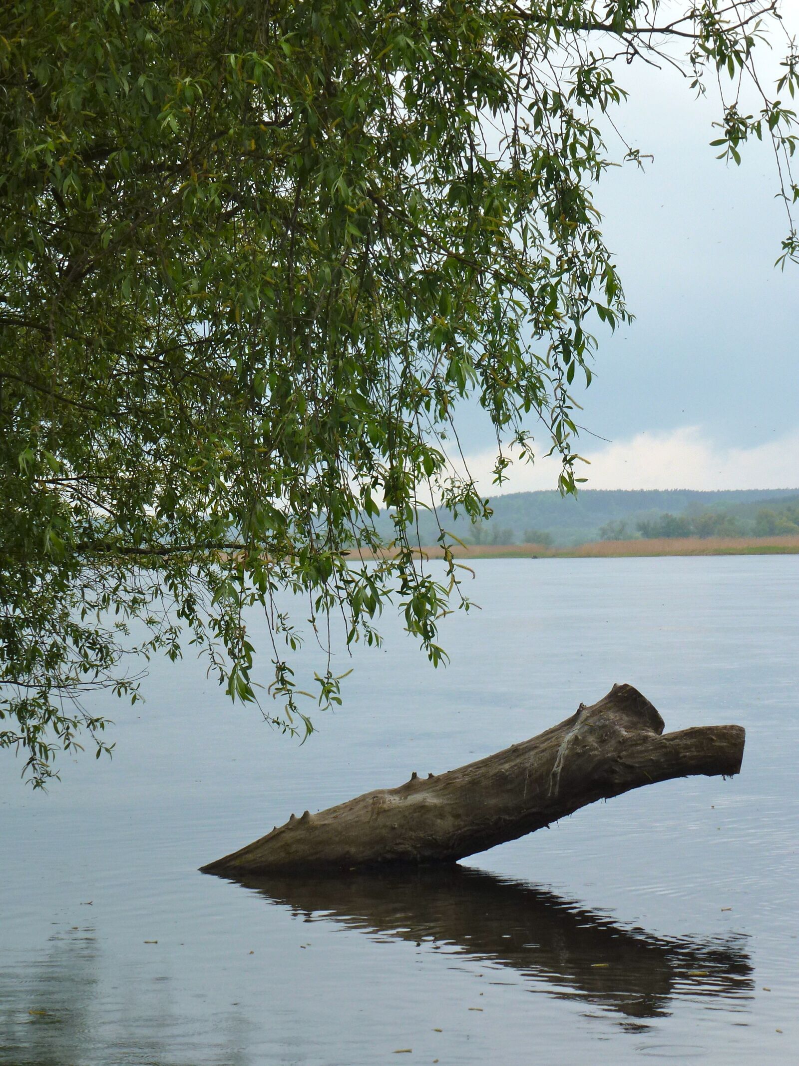 Leica V-Lux 30 / Panasonic Lumix DMC-TZ22 sample photo. Oderbruch, river, impressions photography