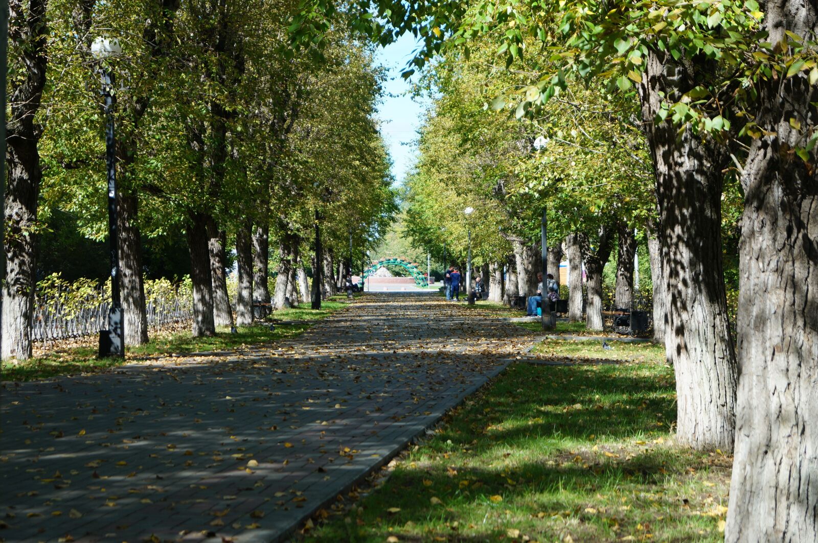 Sony SLT-A57 sample photo. Autumn, living nature, golden photography