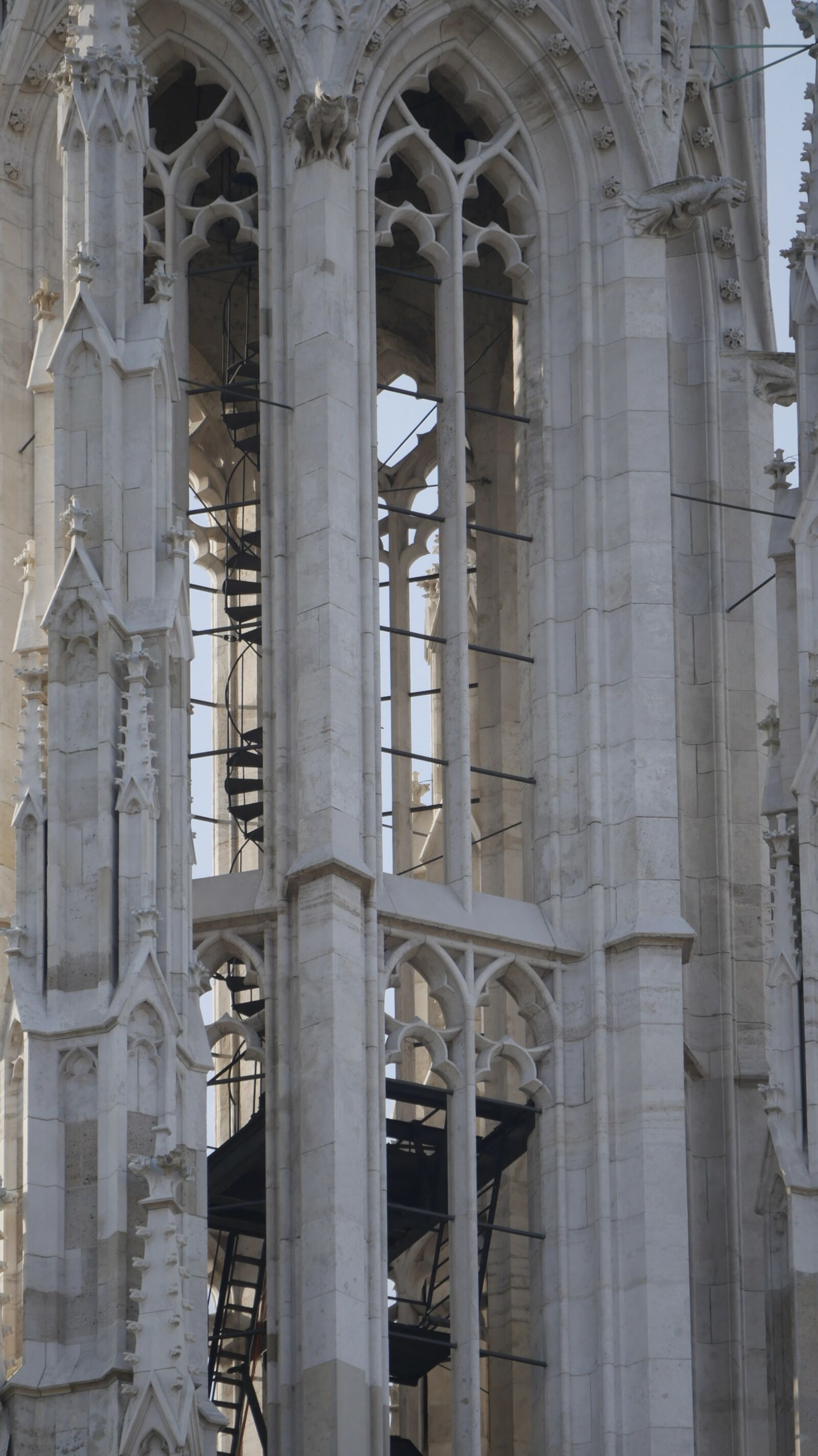 Panasonic Lumix G Vario 45-150mm F4-5.6 ASPH Mega OIS sample photo