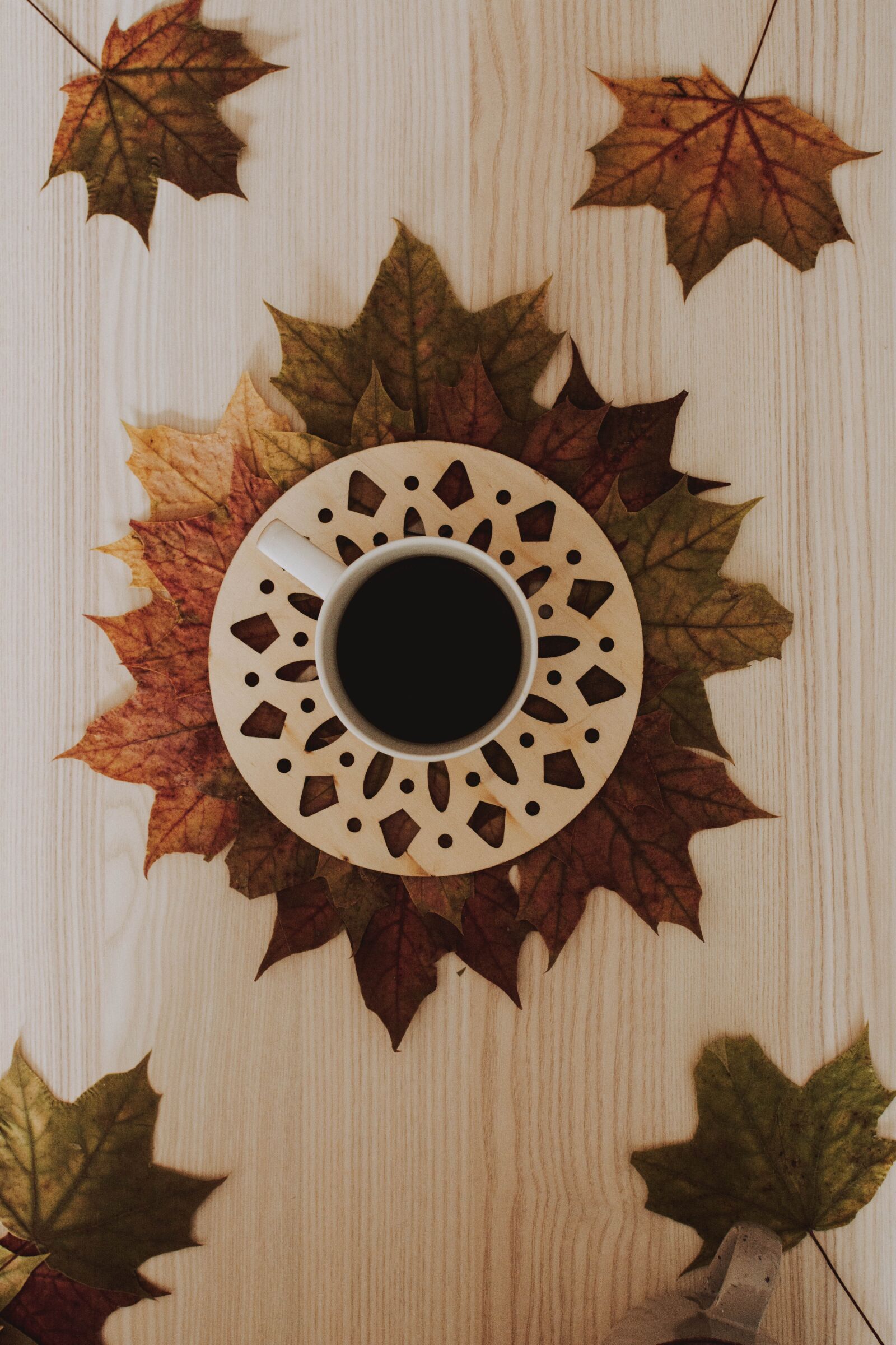 Nikon D5200 sample photo. Cup, coffee, leaves photography