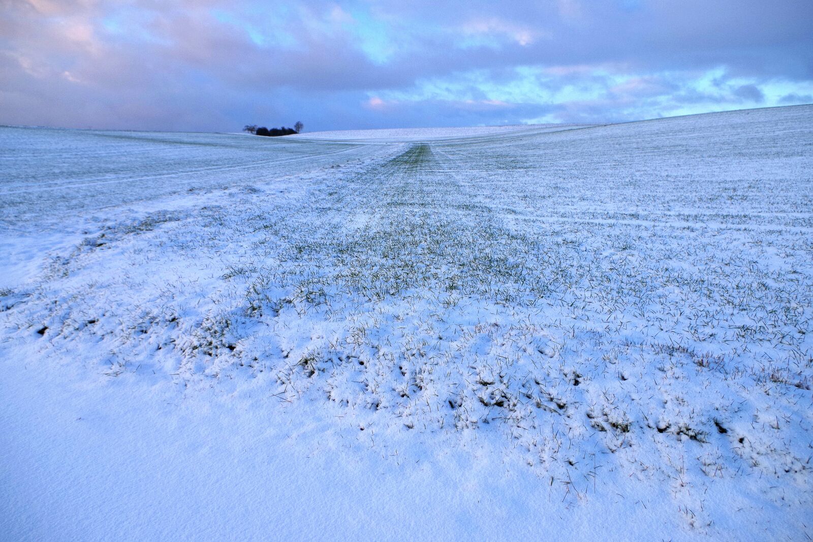 Pentax K-30 sample photo. Wintry, field, winter photography