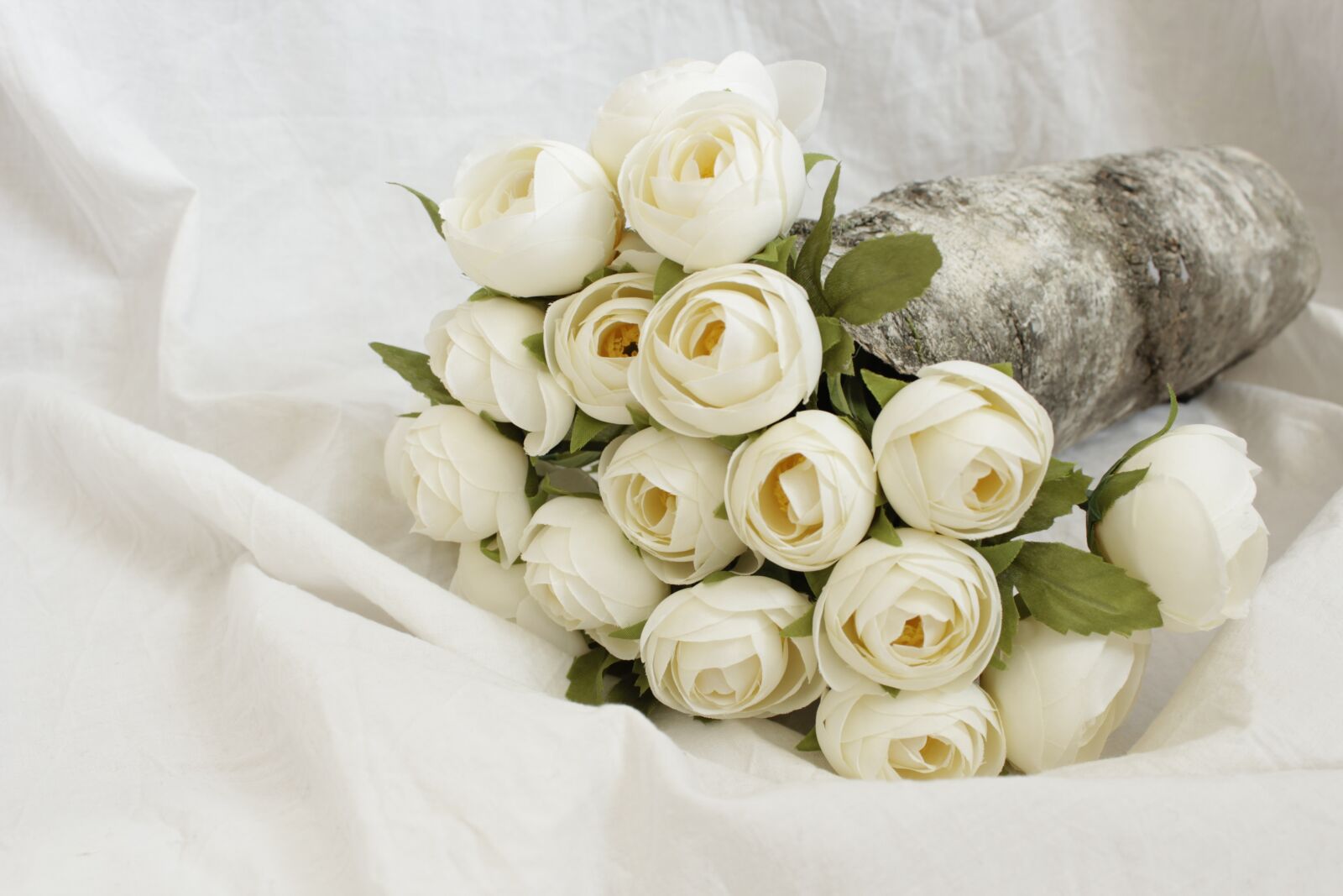 Canon EOS 600D (Rebel EOS T3i / EOS Kiss X5) sample photo. Flowers, roses, pink photography