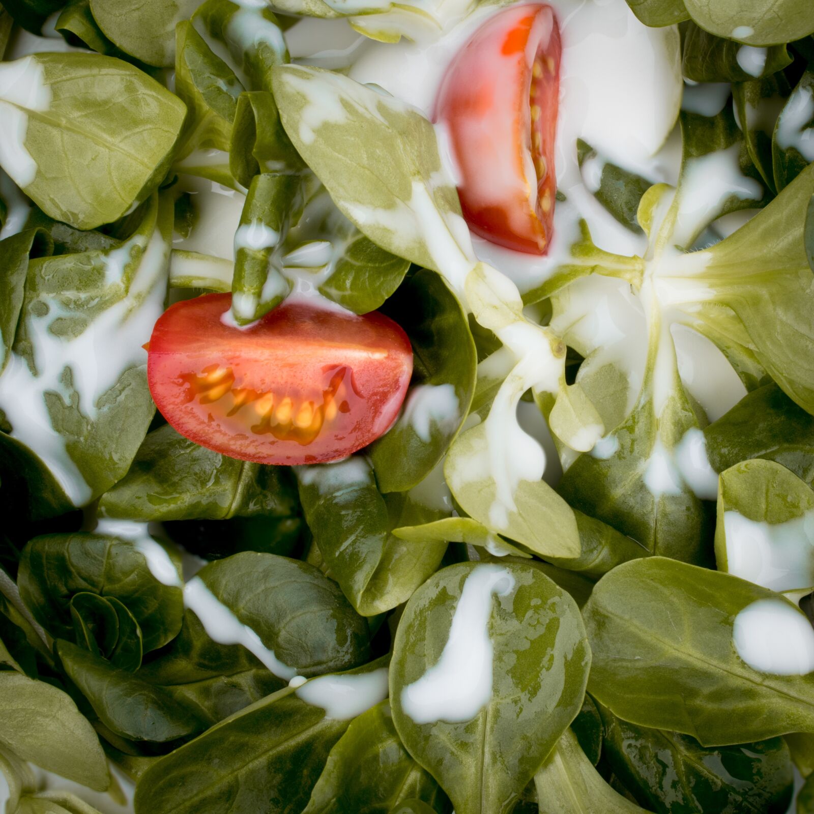Canon EOS 80D sample photo. Salad, tomatoes, green photography