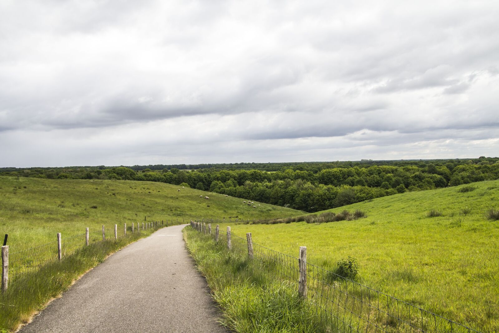 Canon EOS 60D sample photo. Nature, landscape, countryside photography
