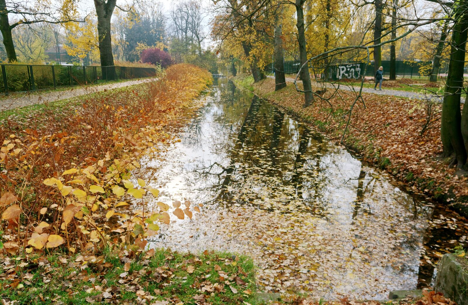 Nikon D3100 sample photo. Landscape, autumn, nature photography