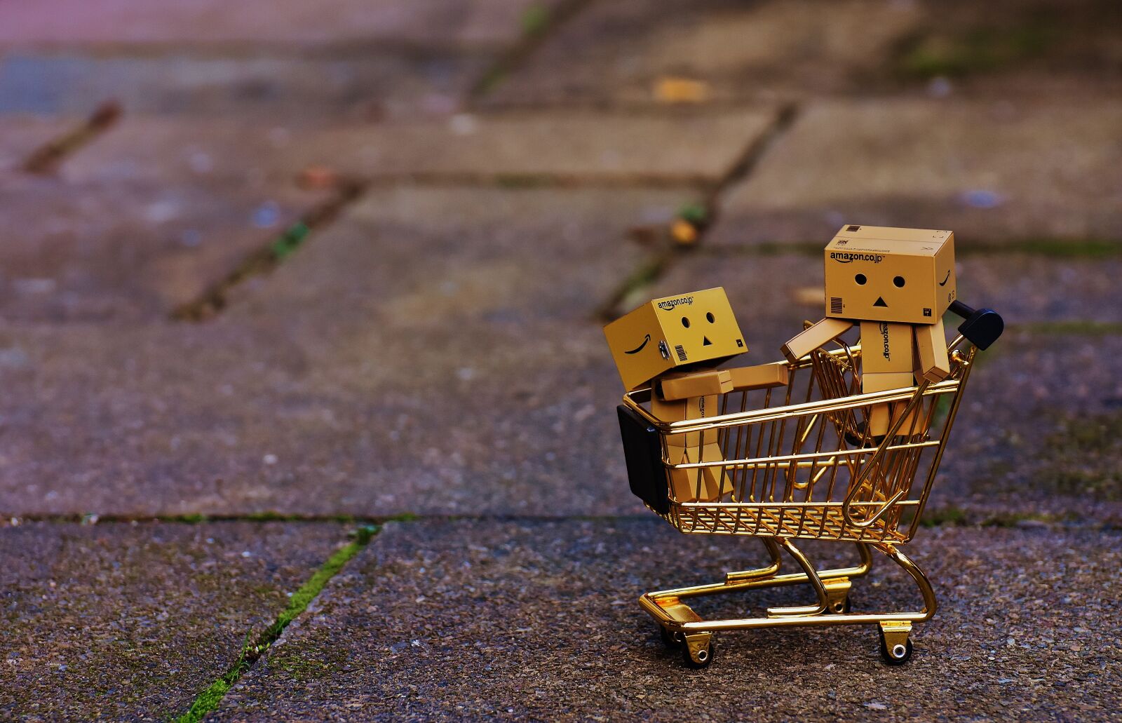 Nikon D7200 sample photo. Danbo, figures, shopping cart photography