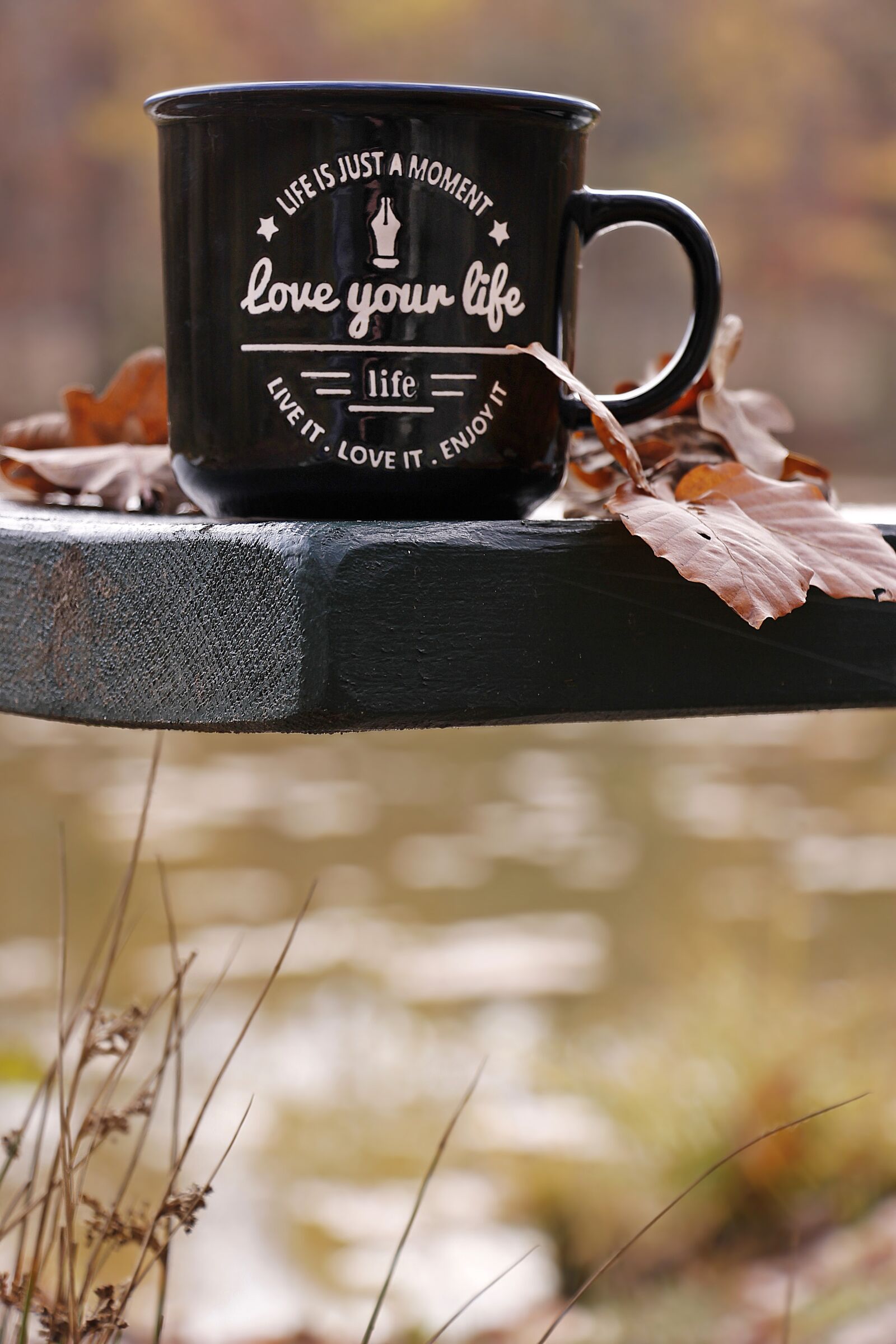 Canon EOS 100D (EOS Rebel SL1 / EOS Kiss X7) sample photo. Autumn, forest, cup photography