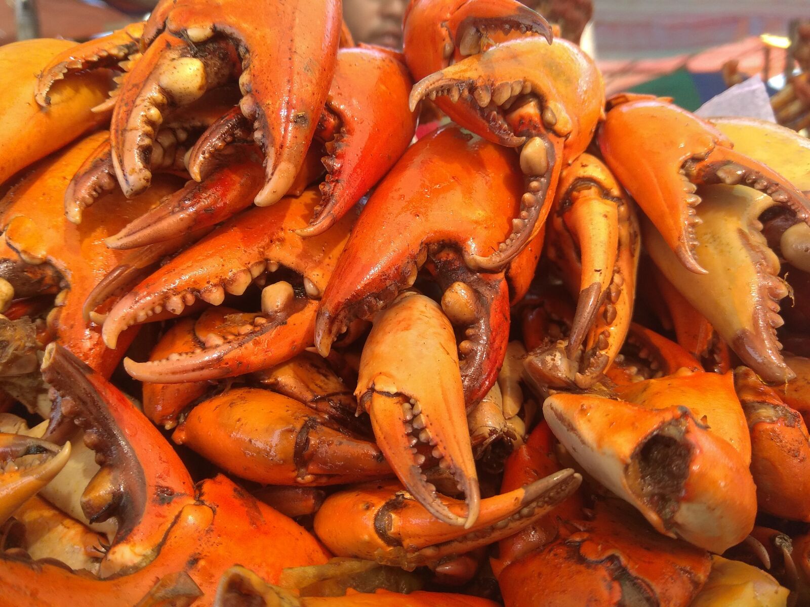 Xiaomi Redmi Note 4 sample photo. Crabs, orange, sea-food photography