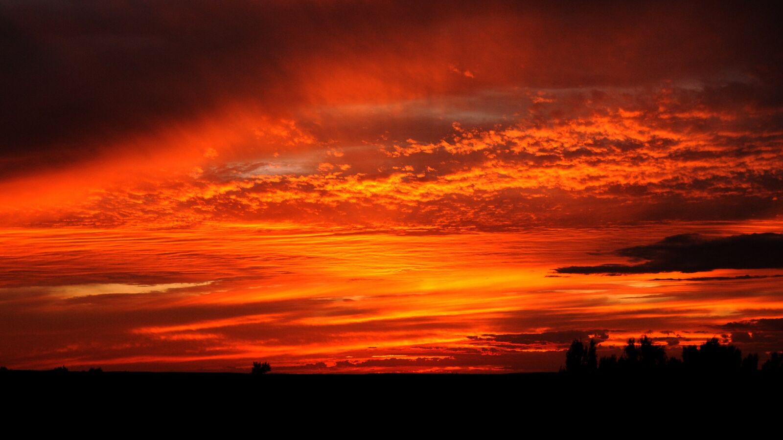 Nikon D300 sample photo. Mongolia, sunset, lighting photography