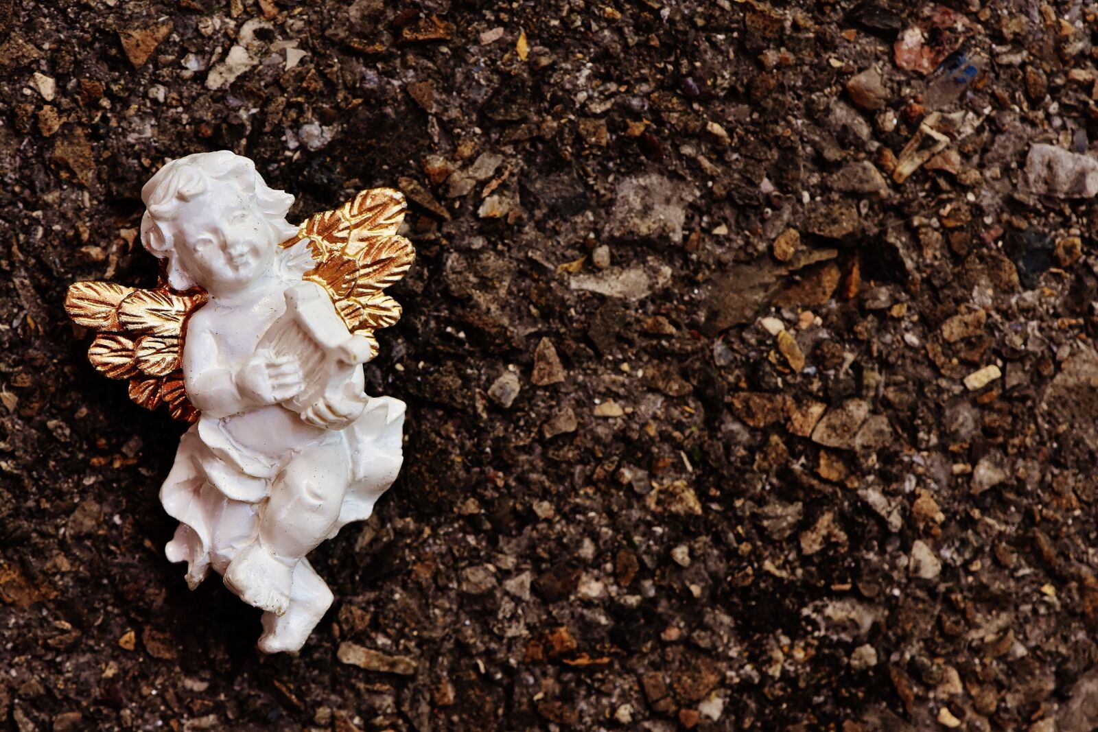 Nikon D7200 sample photo. Angel, instrument, figure photography