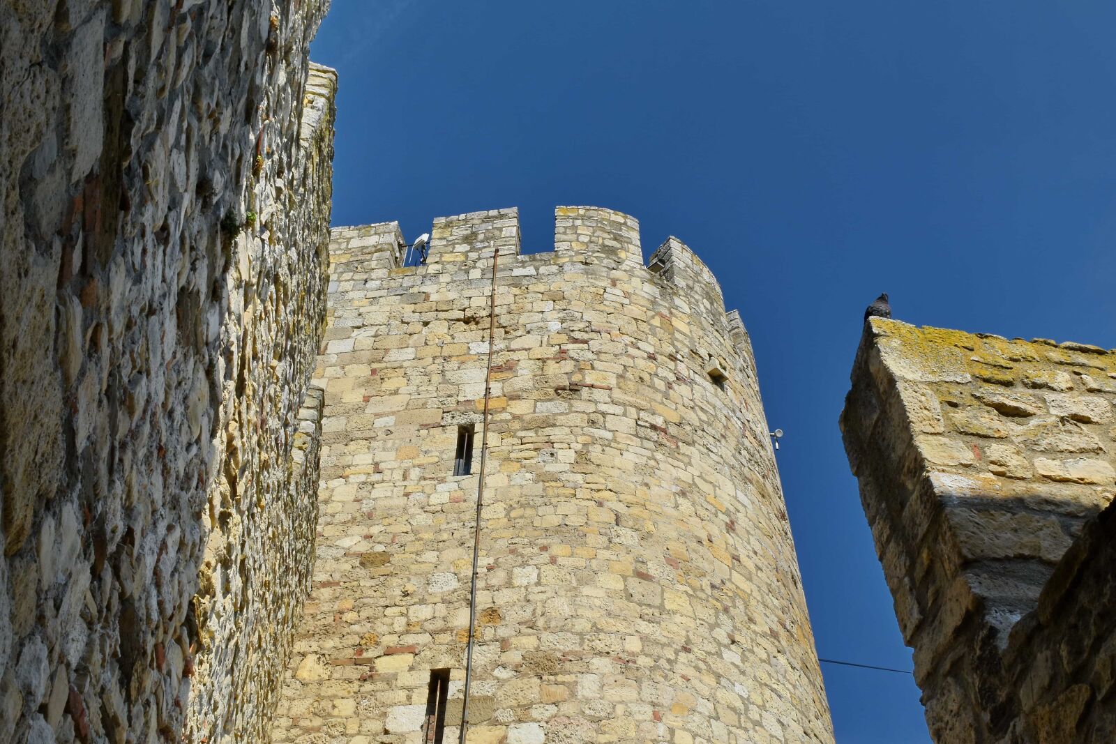 Nikon D5500 sample photo. Gothic, castle, architecture, building photography