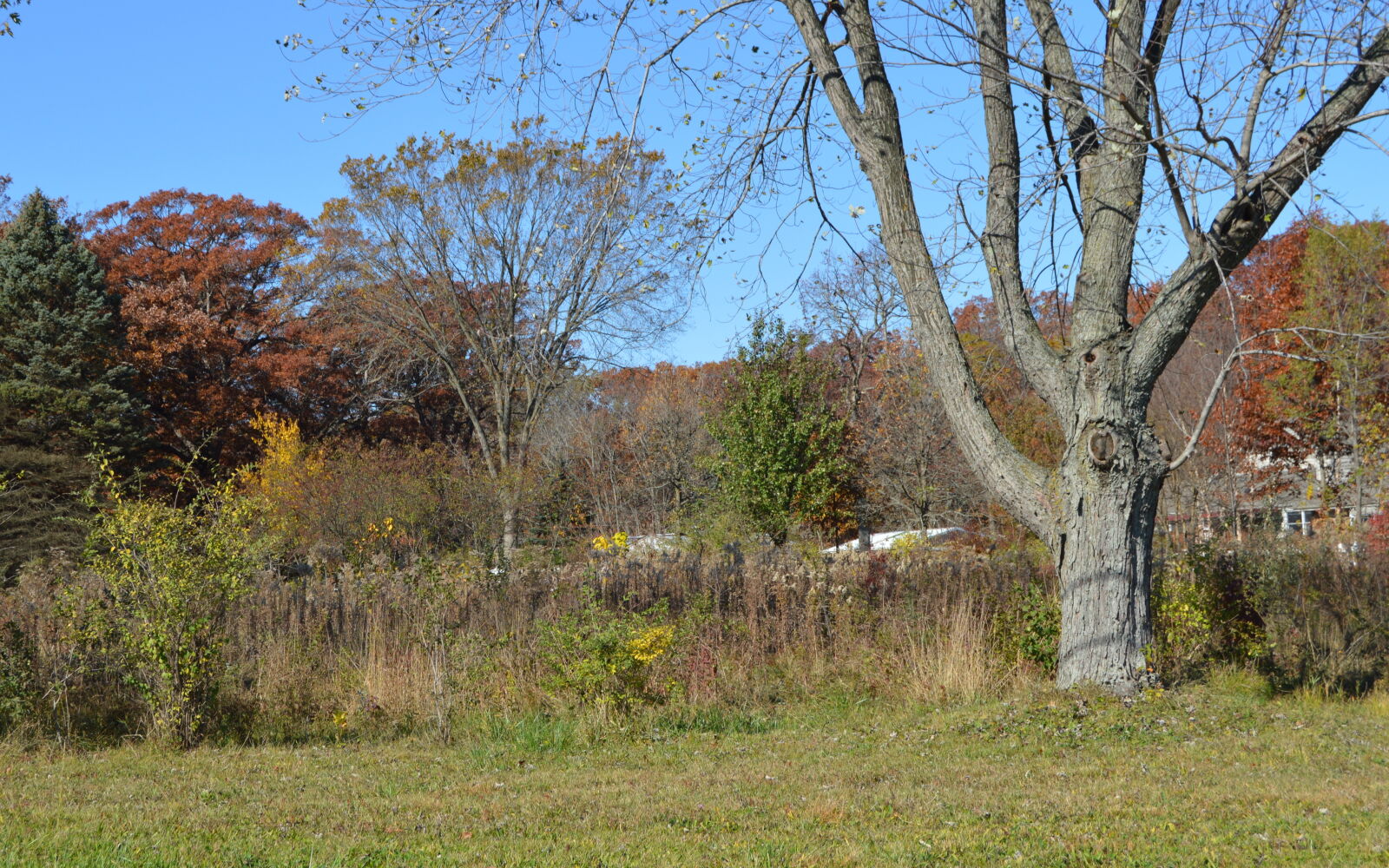 Nikon D3200 sample photo