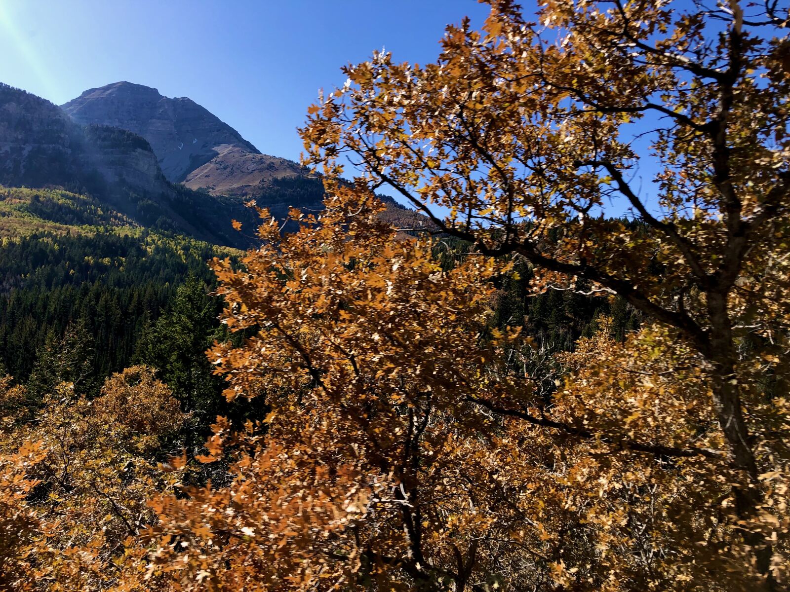 Apple iPhone X sample photo. Mountain, fall, leaves photography