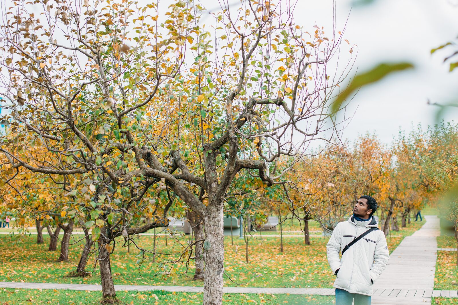 Canon EF 50mm F1.4 USM sample photo. Karthik, moscow autumn, moscow photography