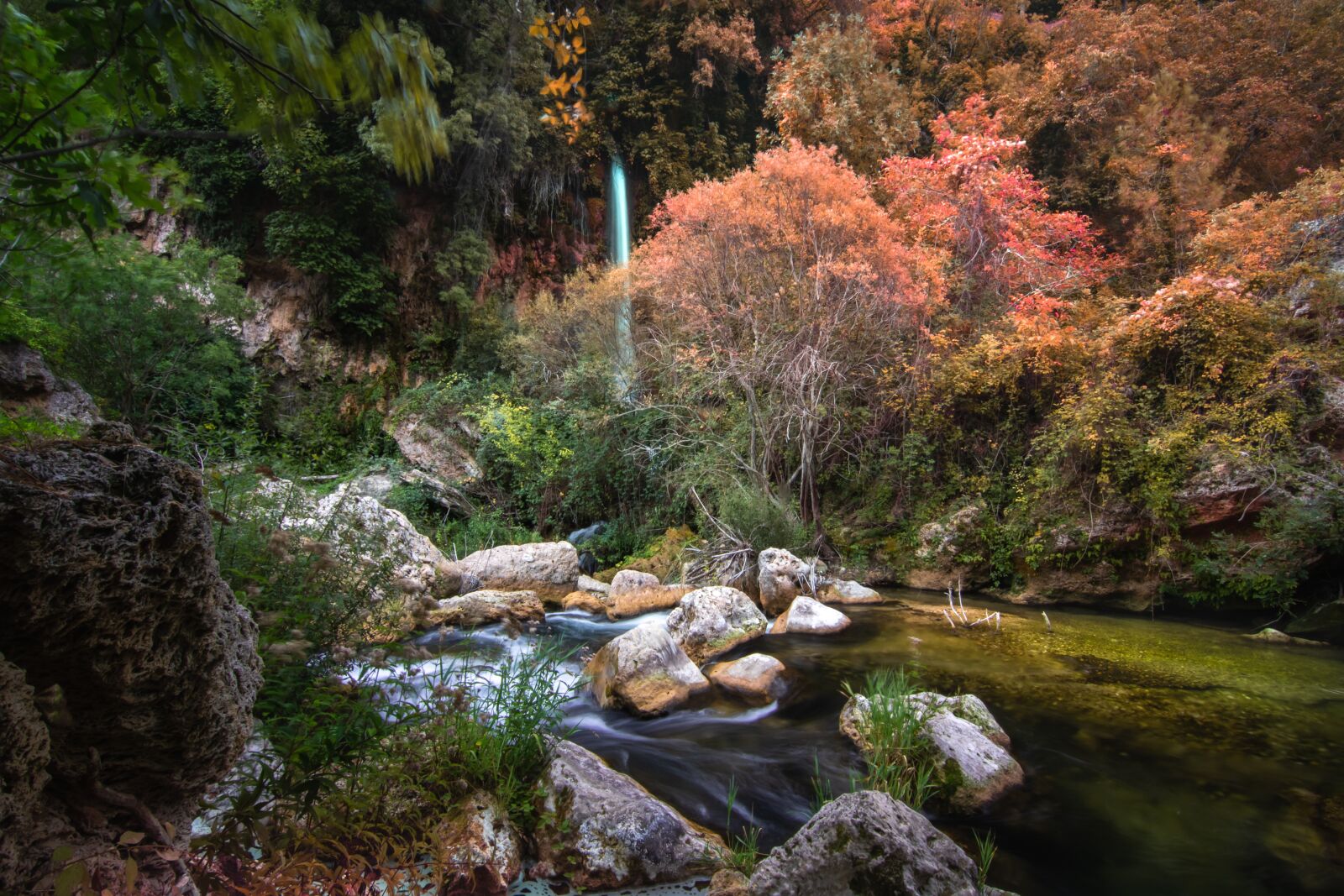 Tokina AT-X Pro 11-16mm F2.8 DX II sample photo. Autumn, fall, wa photography