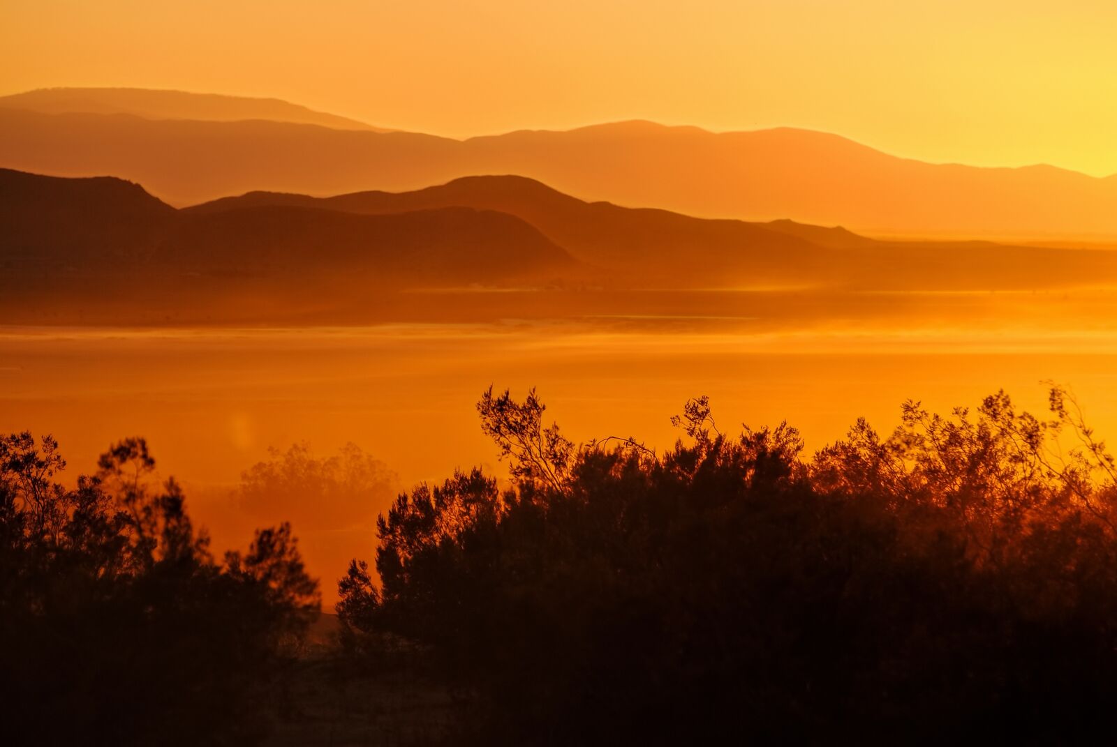Nikon D3000 sample photo. El mirage lake, sunset photography