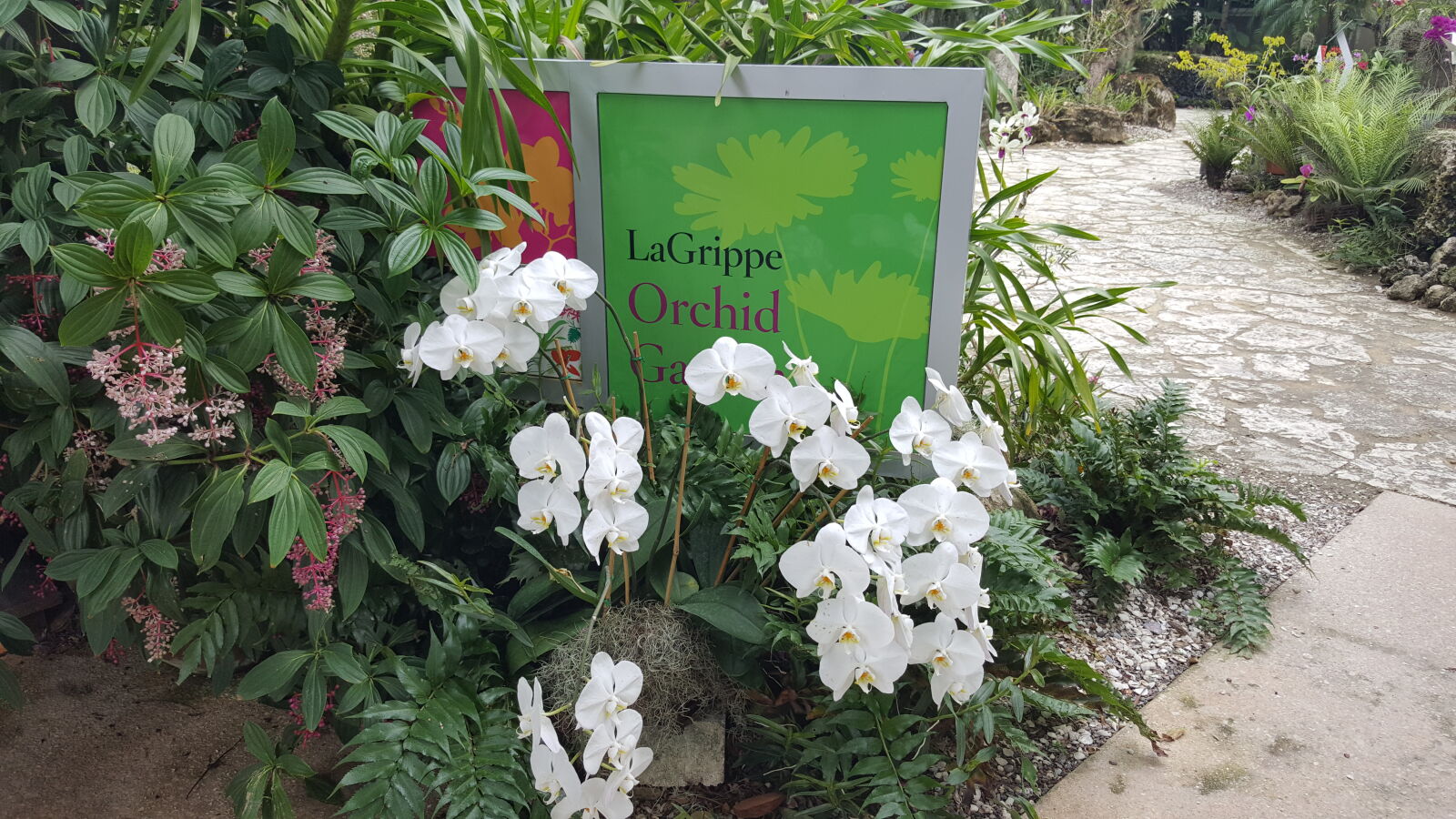 Samsung GALAXY S6 edge sample photo. Botanical, gardens photography