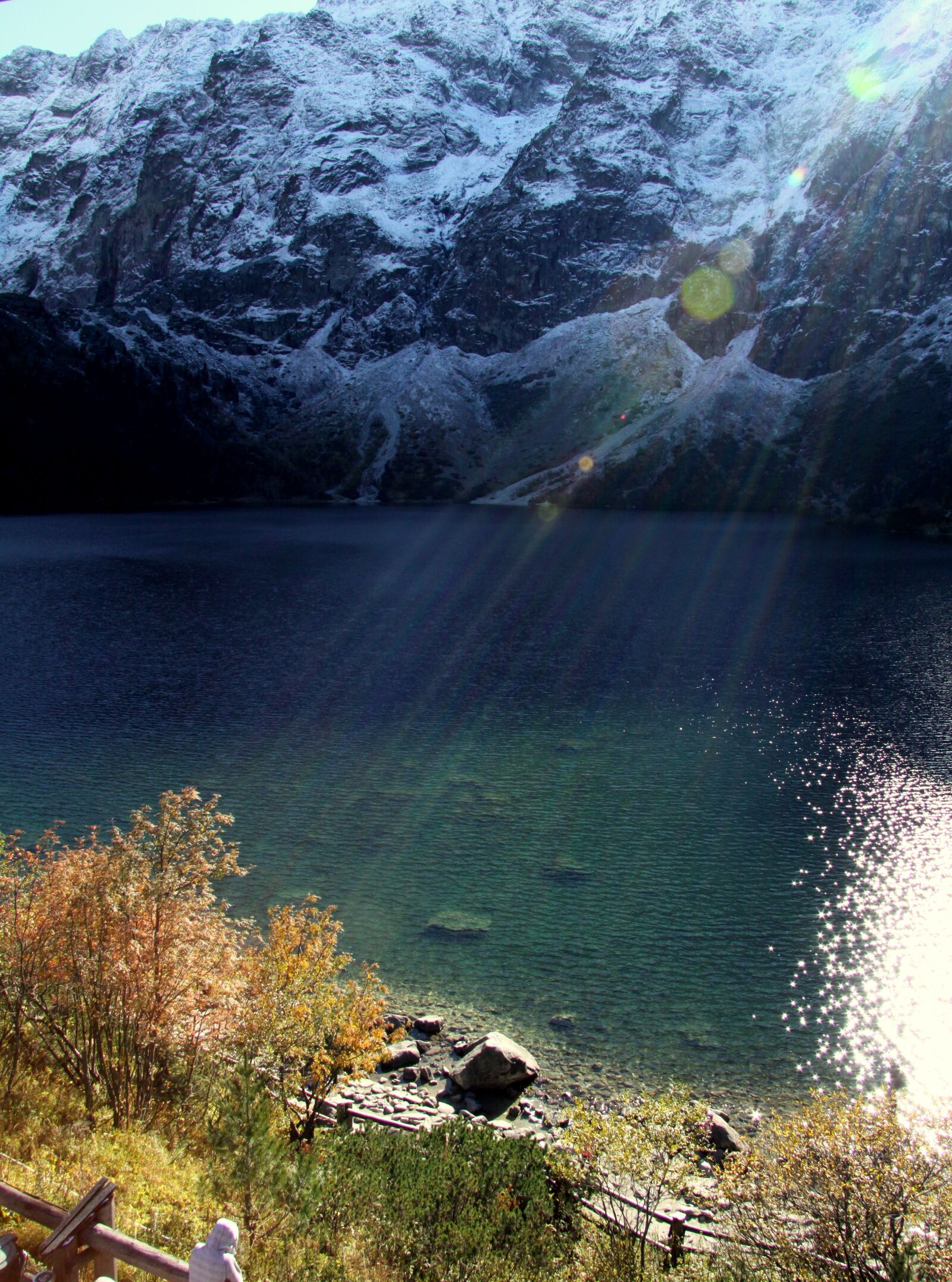 Canon EOS 50D sample photo. A ray of sunshine photography