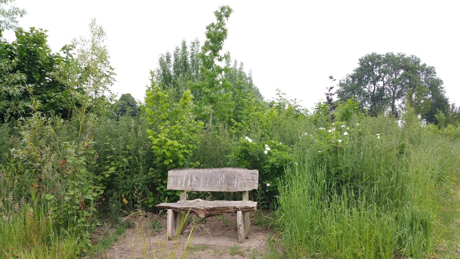 Samsung Galaxy Note4 sample photo. Bench, landscape, nature photography