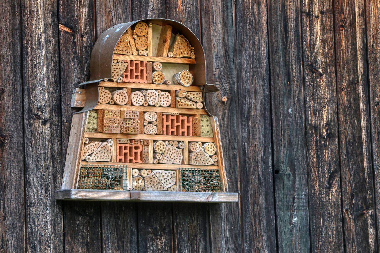 Canon EOS 80D sample photo. Bee hotel, insect hotel photography