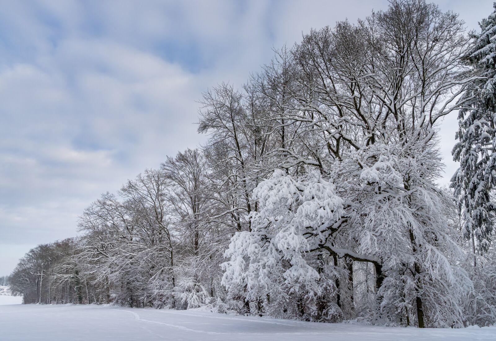 Sony a7 + Sony Vario Tessar T* FE 24-70mm F4 ZA OSS sample photo. Winter, landscape, snow photography