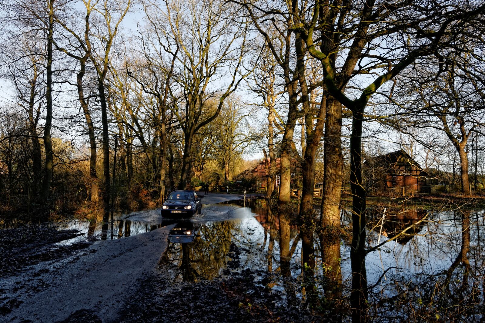 Nikon D300S sample photo. Oste, low stuff, flood photography