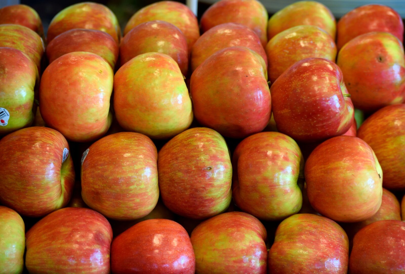 Nikon D3300 sample photo. Red apples, fruit, sweet photography