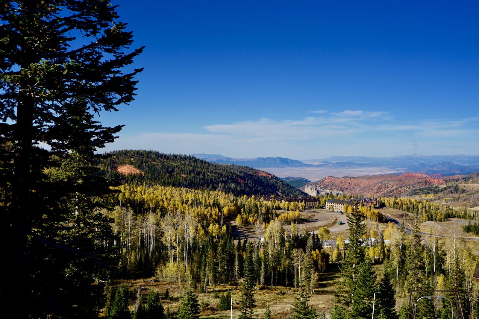 Sony a6000 + Sony E 18-55mm F3.5-5.6 OSS sample photo. Landscape, tree, nature photography