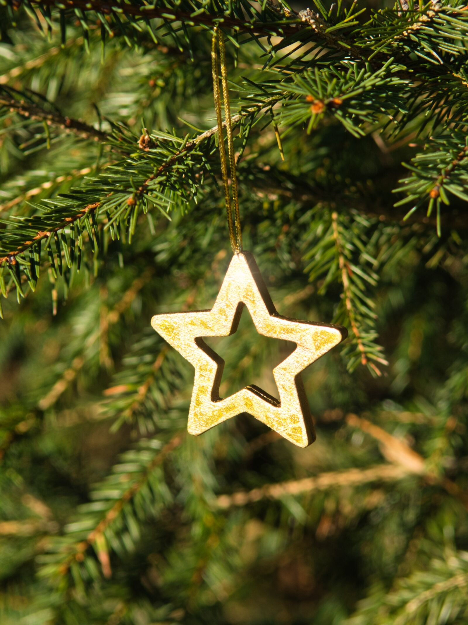 Nikon D7100 sample photo. Star, deco, fir tree photography