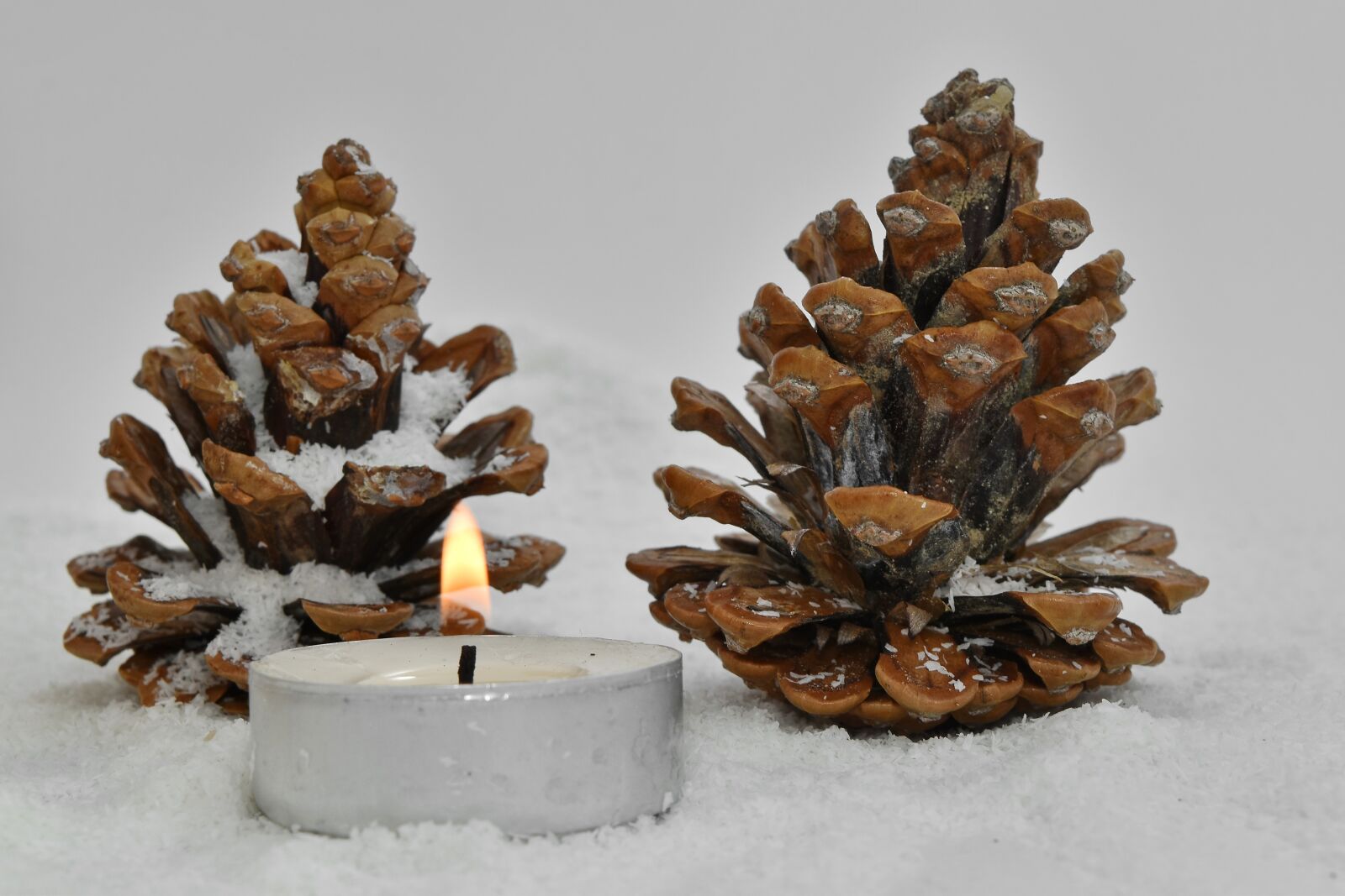 Nikon D5500 sample photo. Conifers, seed, snowflakes, wooden photography